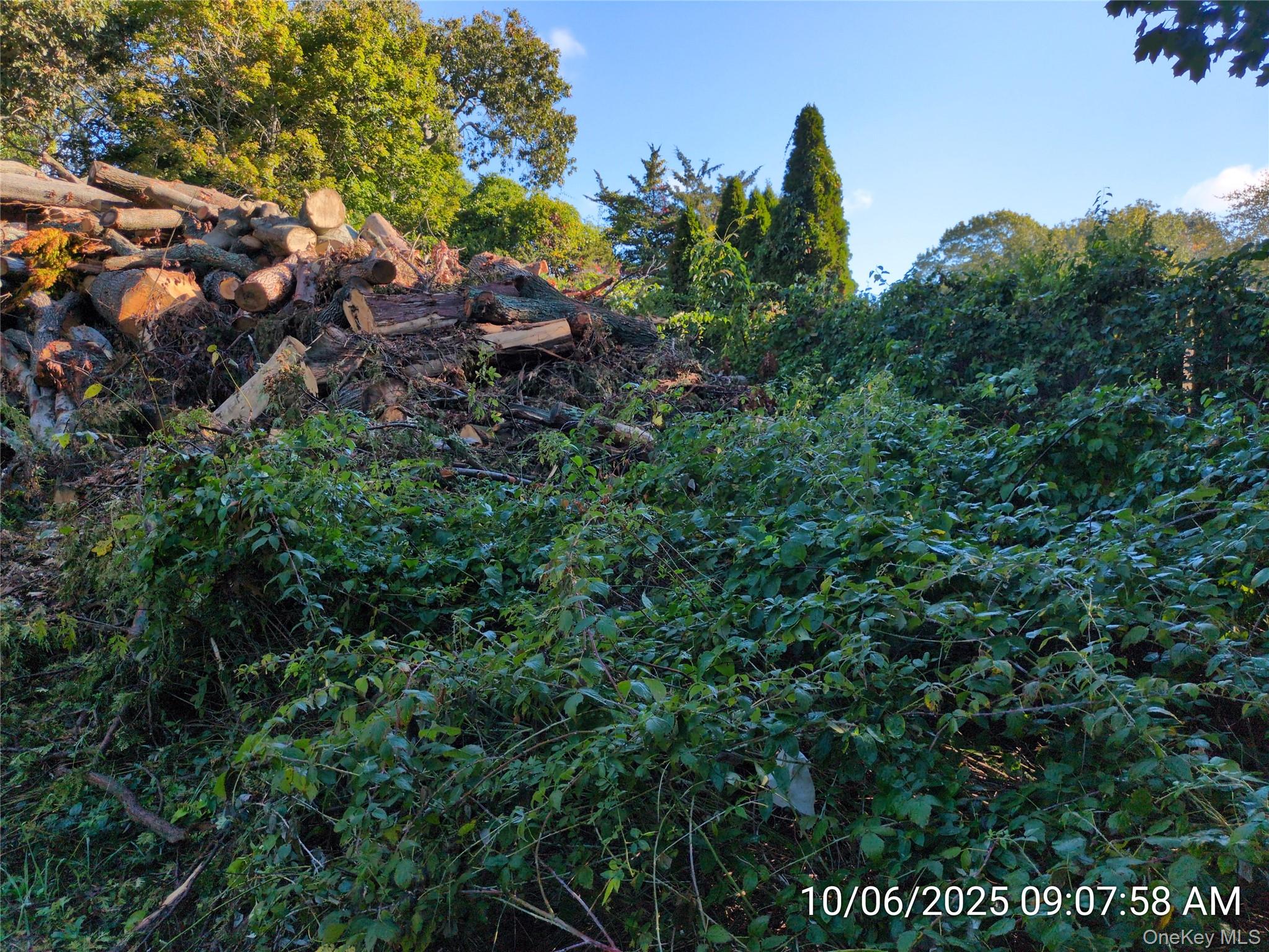 #18 photo, 178 Montauk Highway, Speonk , NY 11972