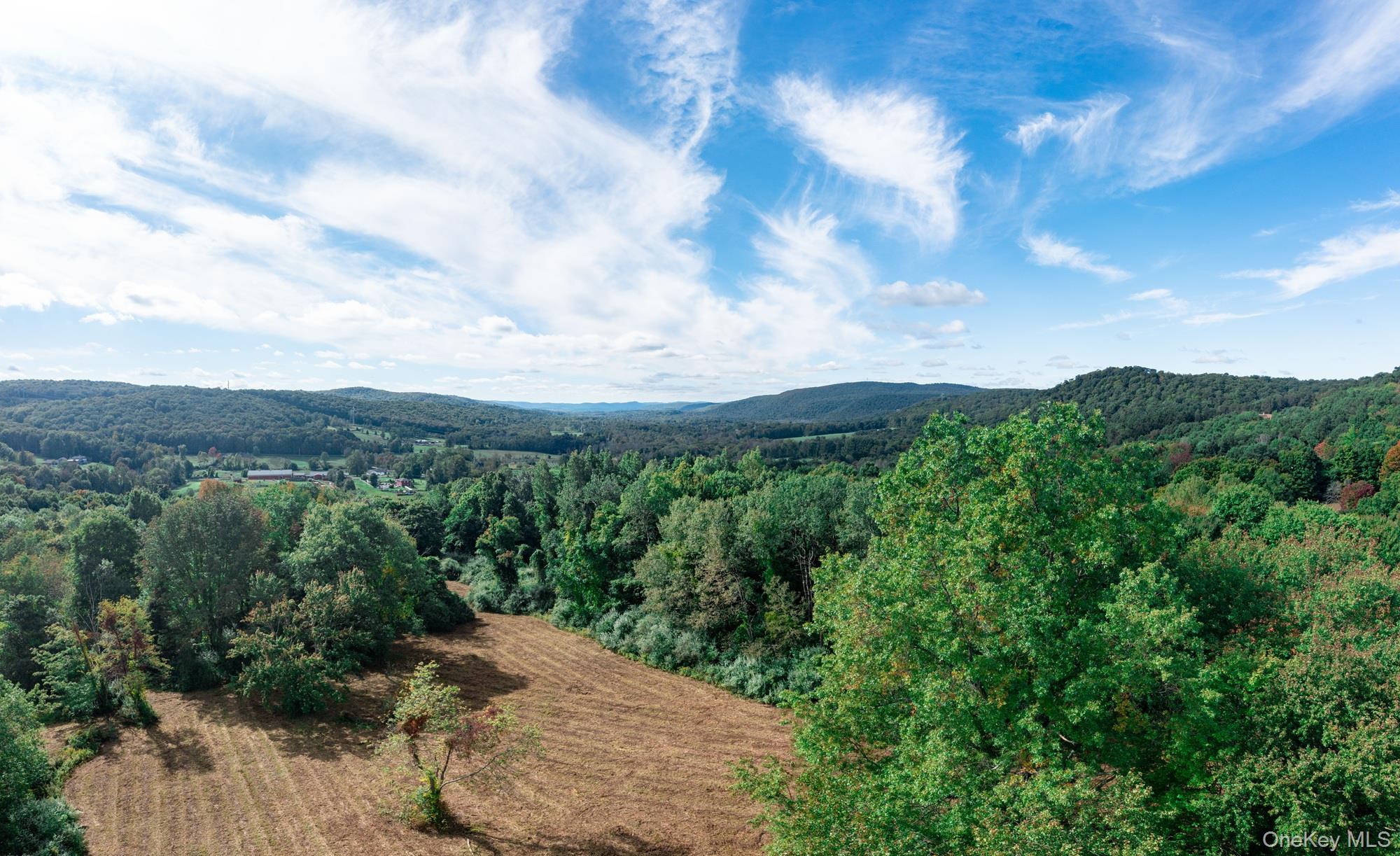 #8 photo, BRUSH HILL Road, Millbrook , NY 12545