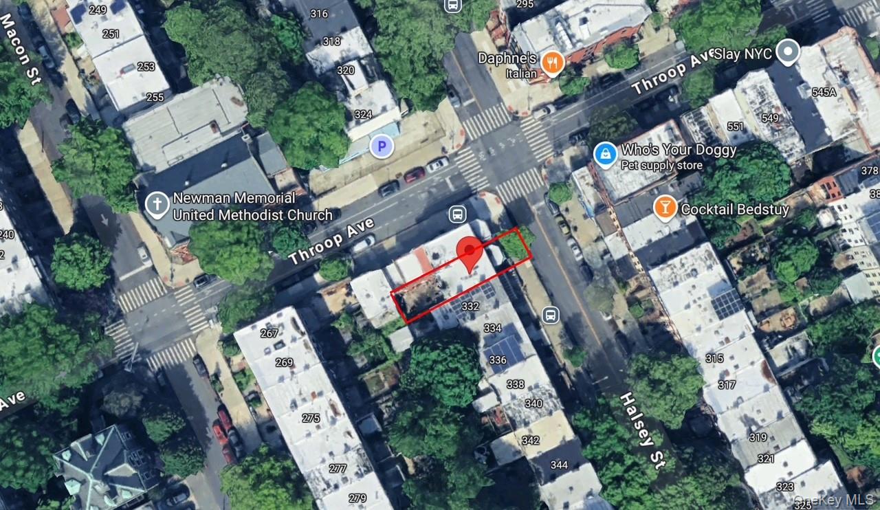 #19 photo, 330 Halsey Street, Brooklyn , NY 11216