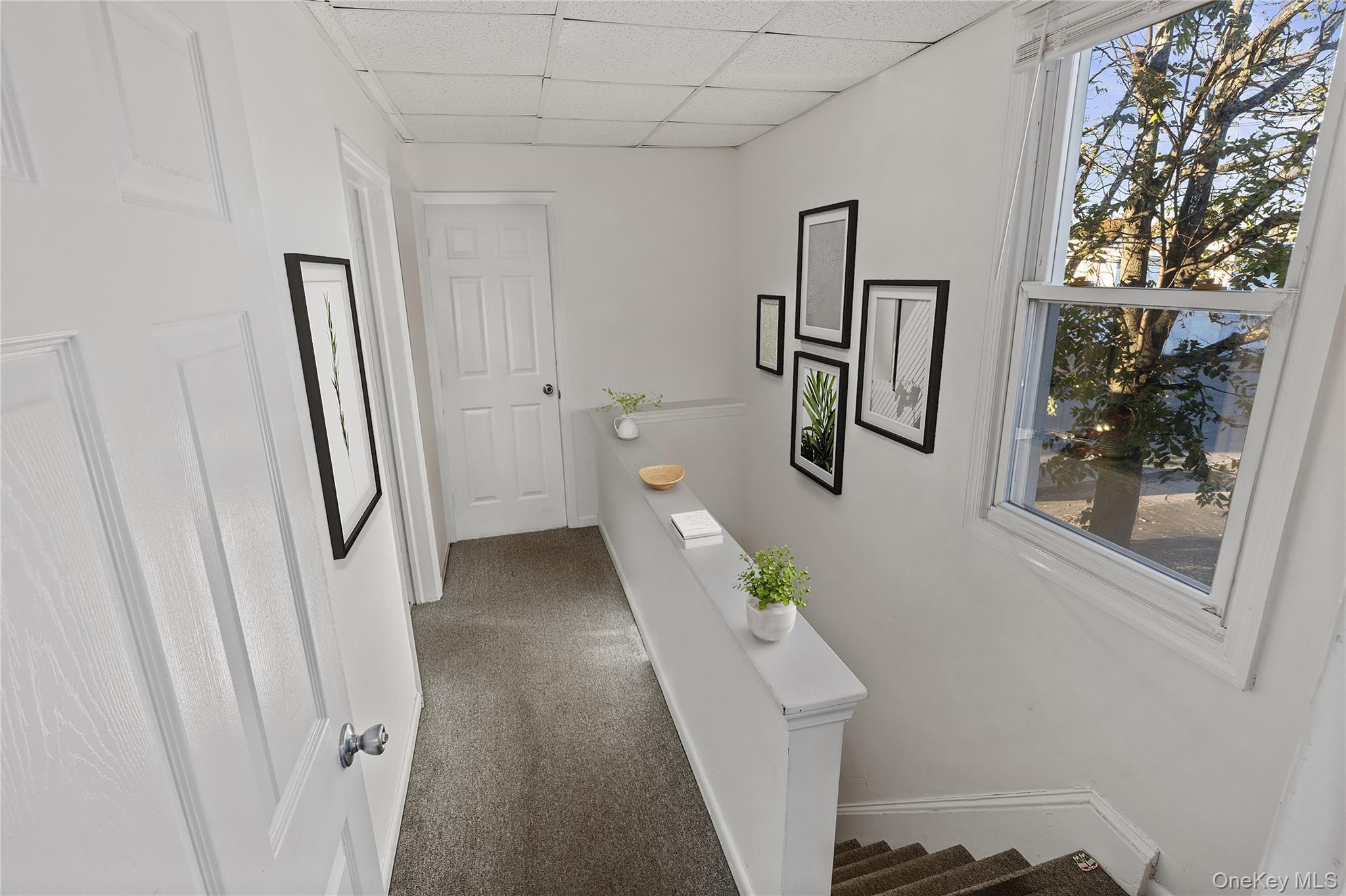 #10 photo, 15 E Carl Street, Hicksville , NY 11801