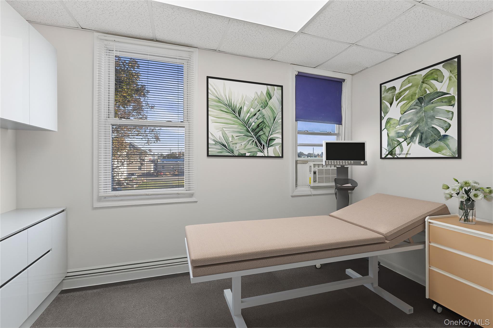 #13 photo, 15 E Carl Street, Hicksville , NY 11801