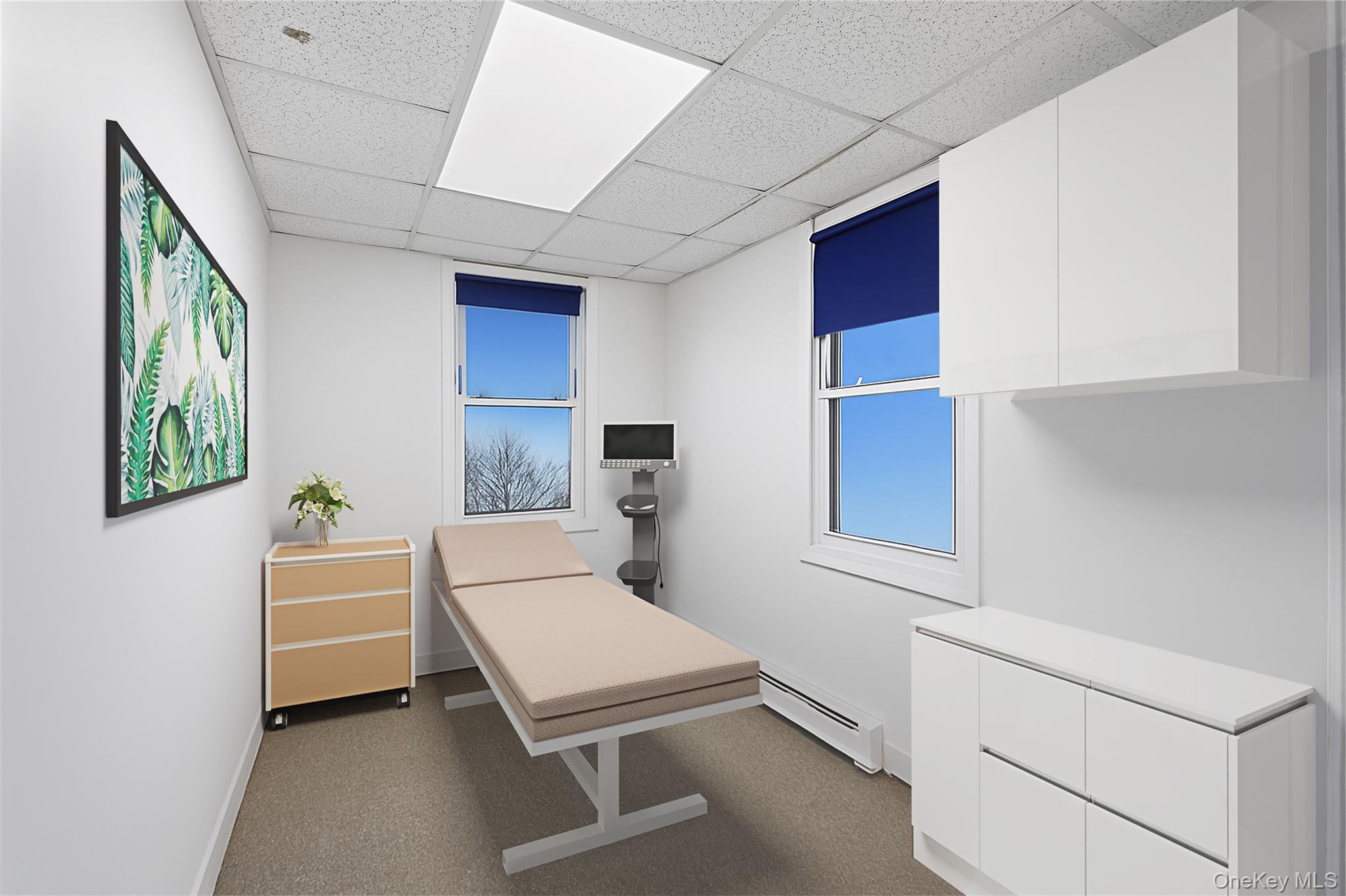 #14 photo, 15 E Carl Street, Hicksville , NY 11801