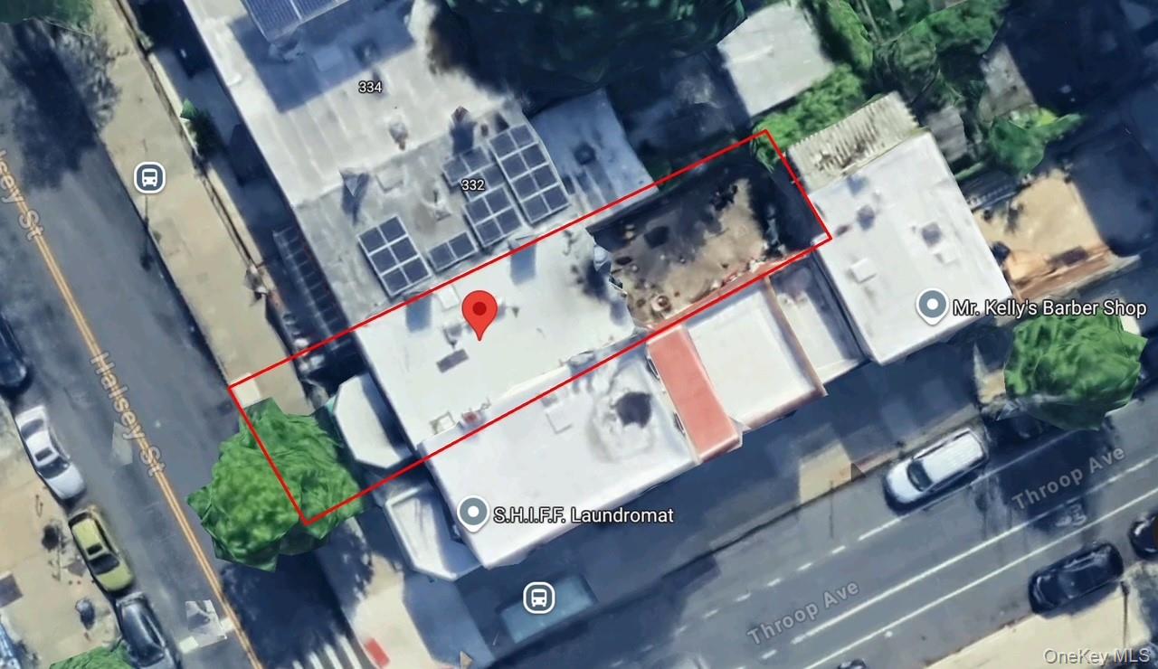 #2 photo, 330 Halsey Street, Brooklyn , NY 11216