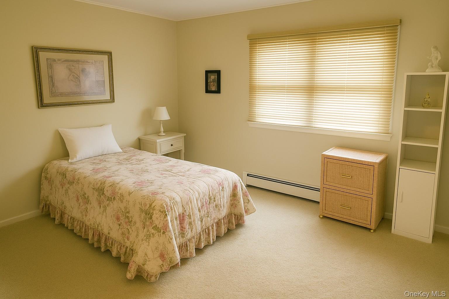 #8 photo, 884 Troy Street, Elmont , NY 11003