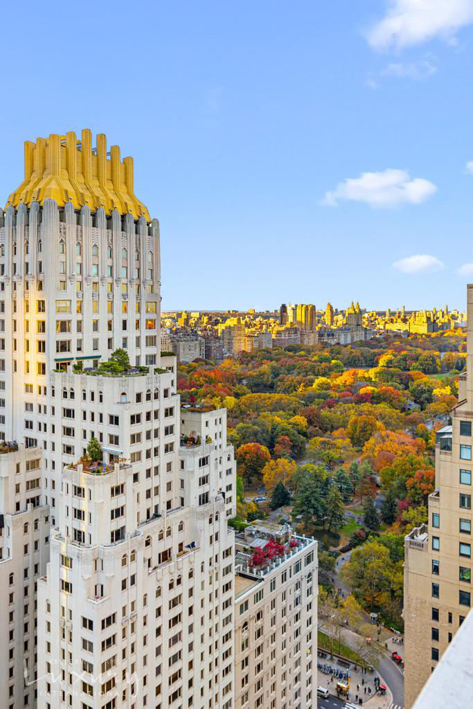 #16 photo, 58 W 58th Street, Midtown Central , NY 10019