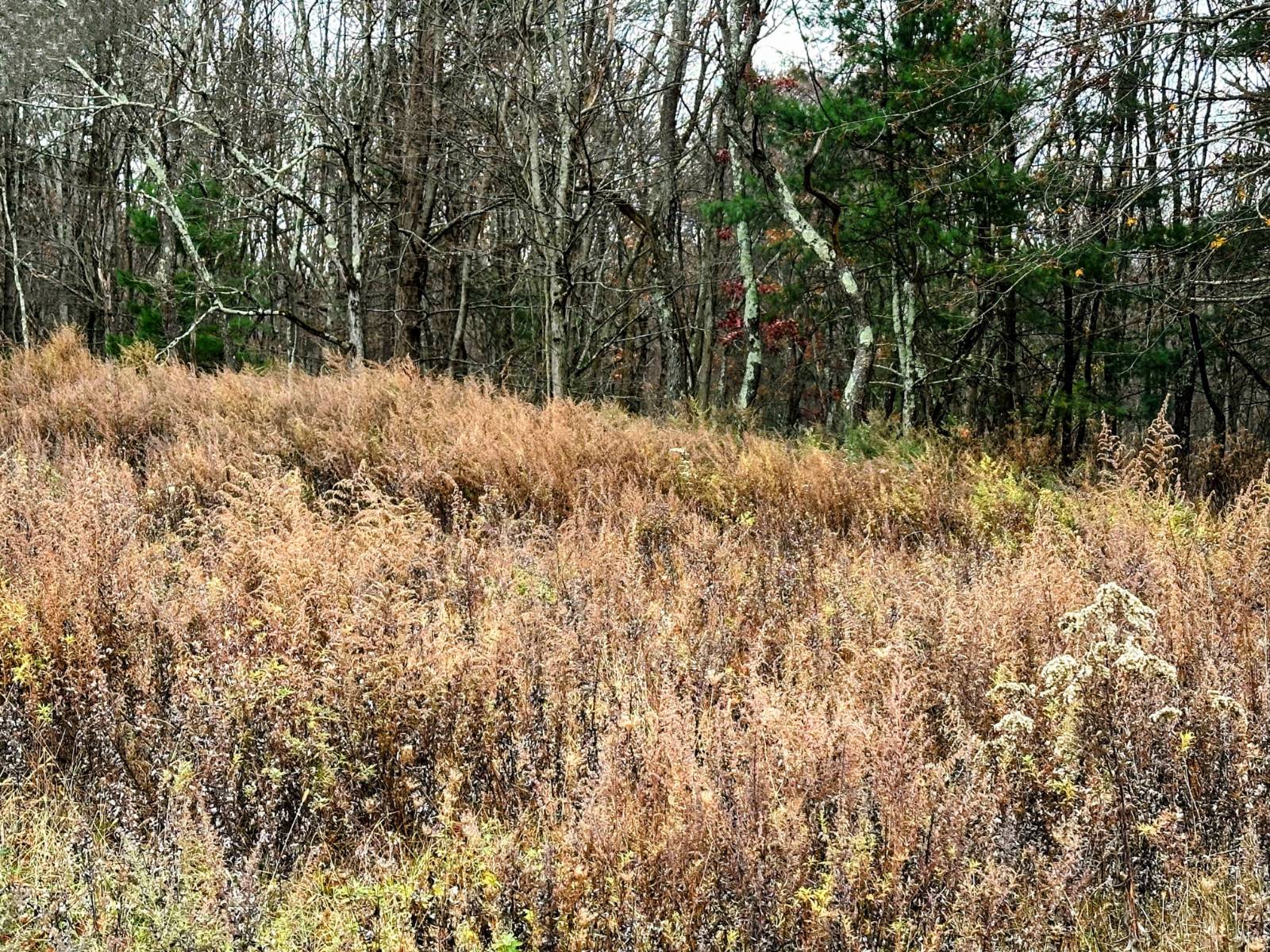 #16 photo, 3264 County Route 7, Copake , NY 12516