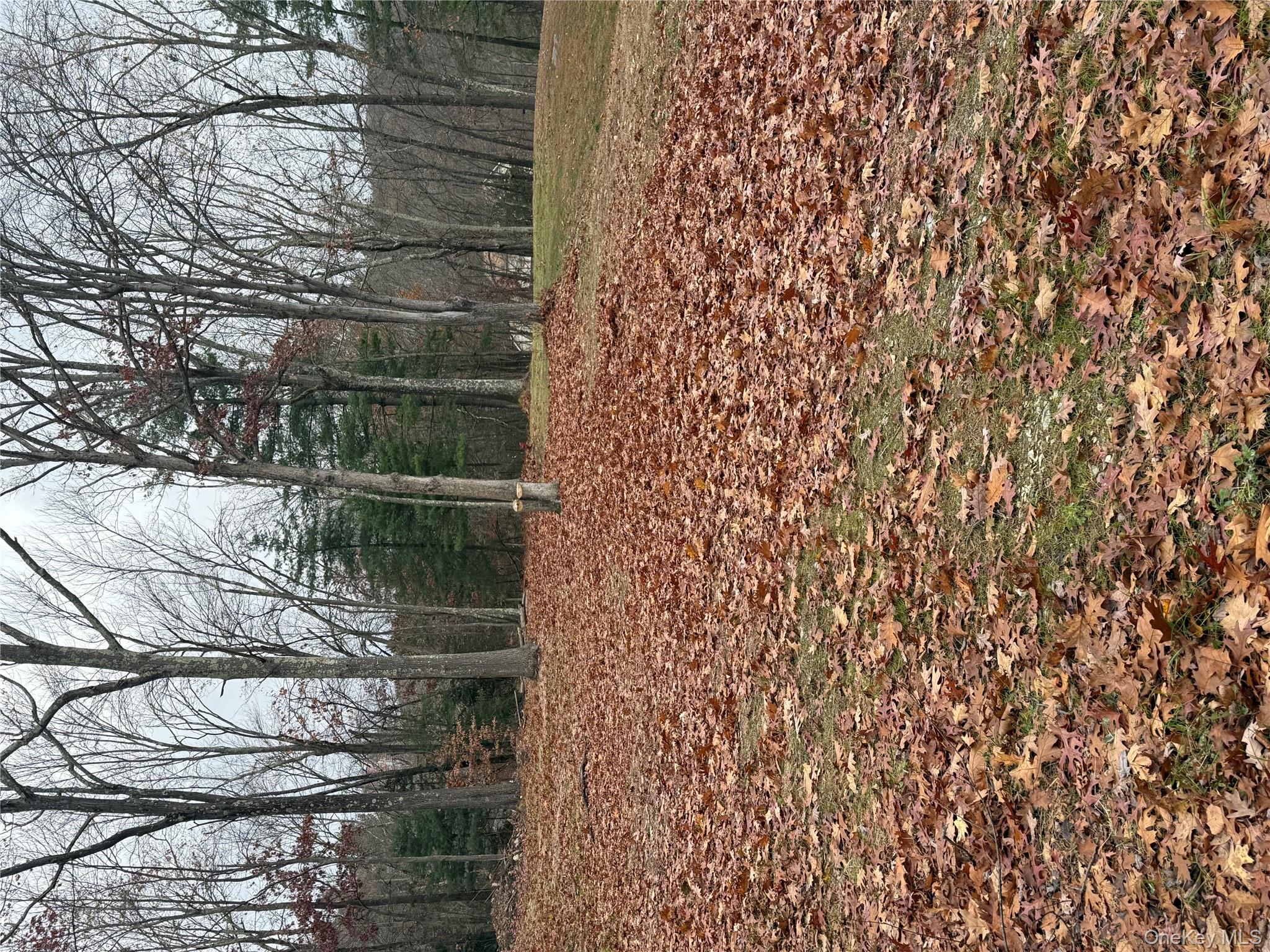 #8 photo, 11 Square Woods Drive, Lagrangeville , NY 12540