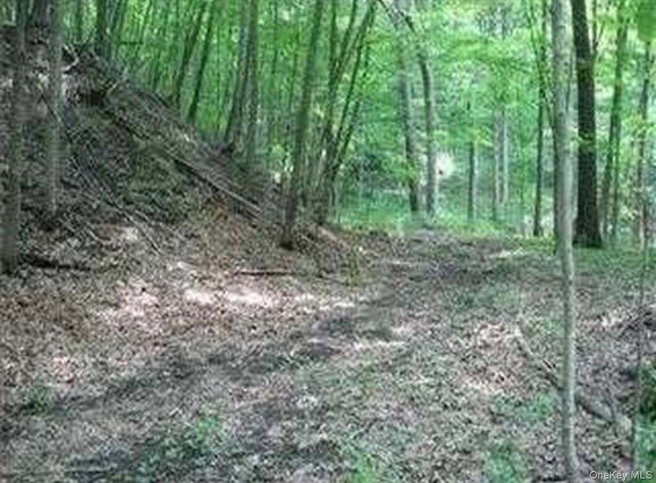 #3 photo, 6 Thompson Drive, Staatsburg , NY 12580