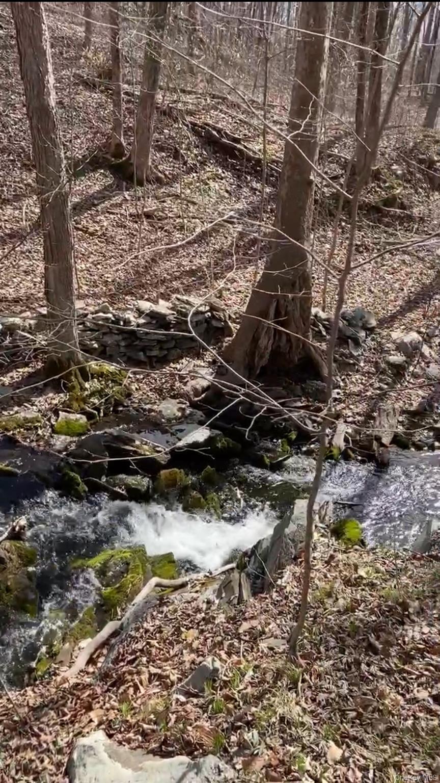 #8 photo, 6 Thompson Drive, Staatsburg , NY 12580