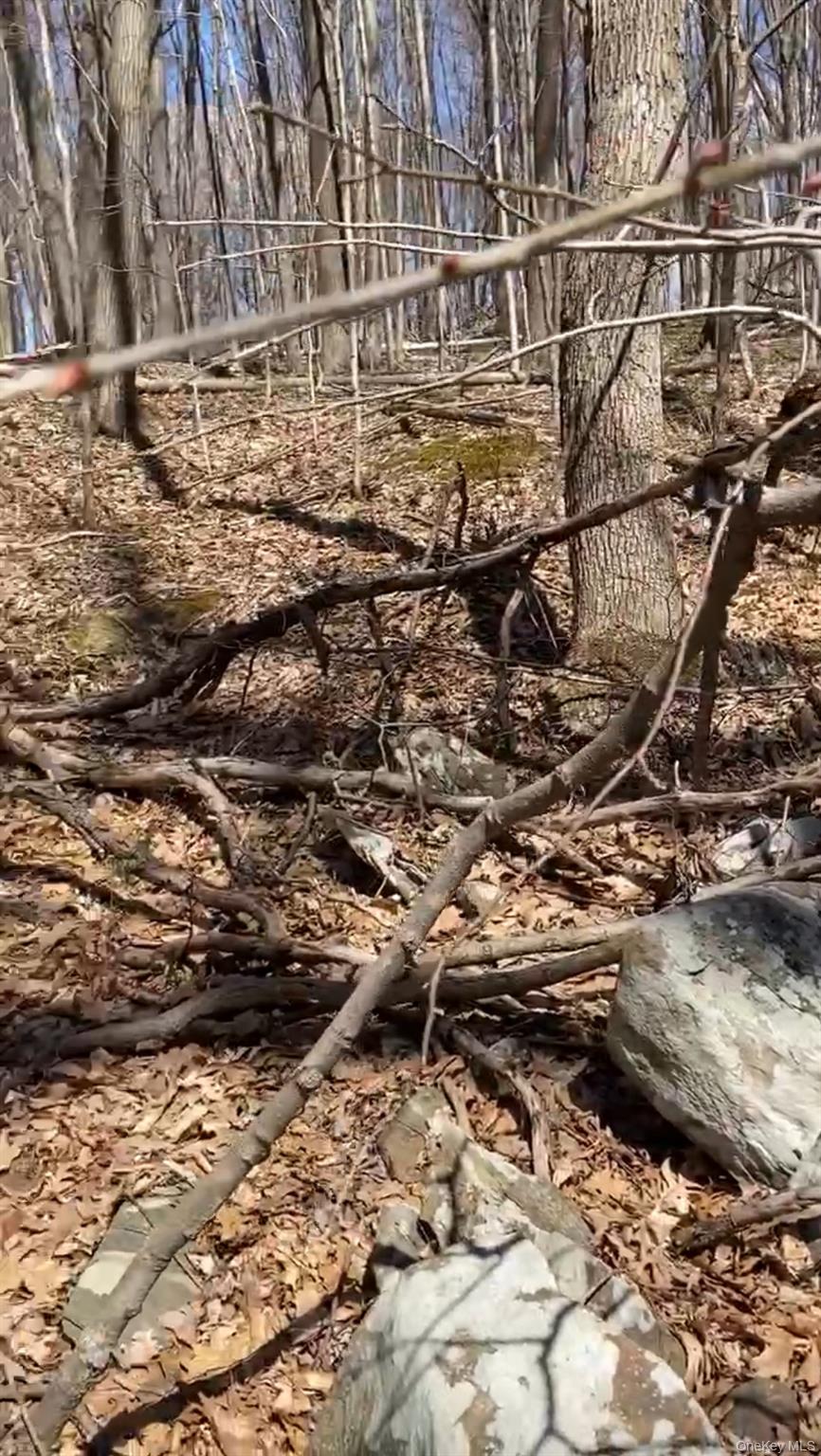 #9 photo, 6 Thompson Drive, Staatsburg , NY 12580