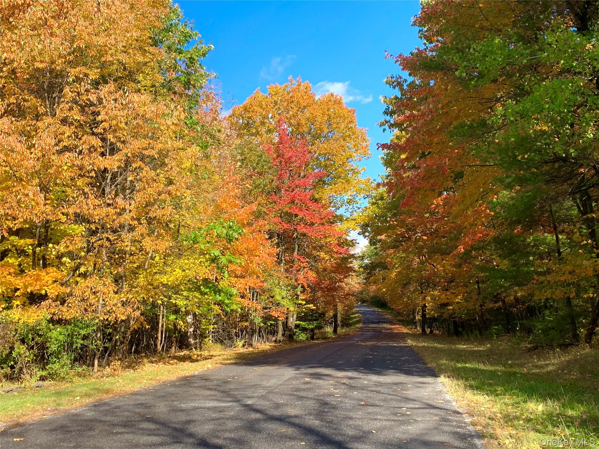 #7 photo, 477 Campbell Road, Windham , NY 12407