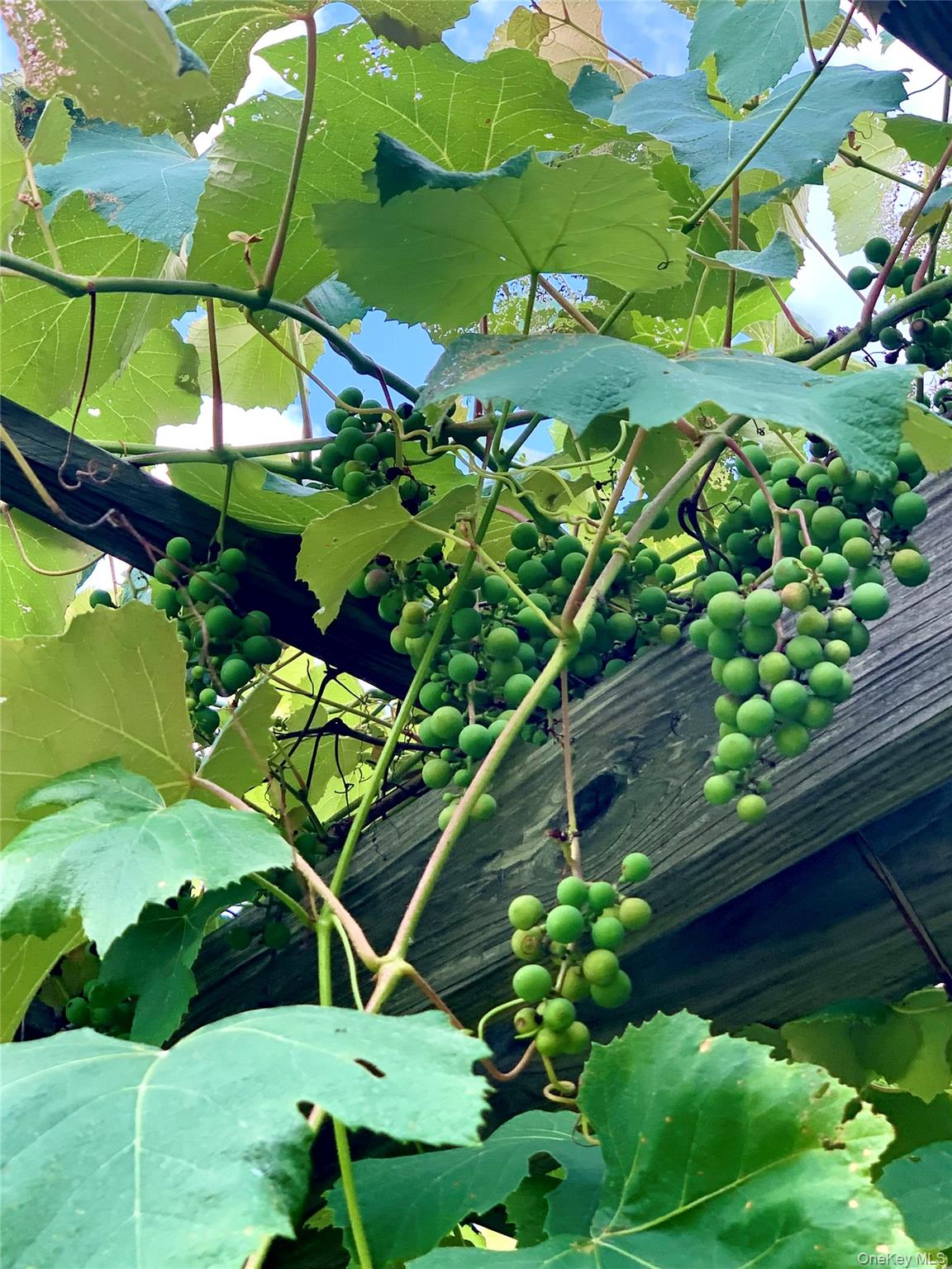 #8 photo, 477 Campbell Road, Windham , NY 12407