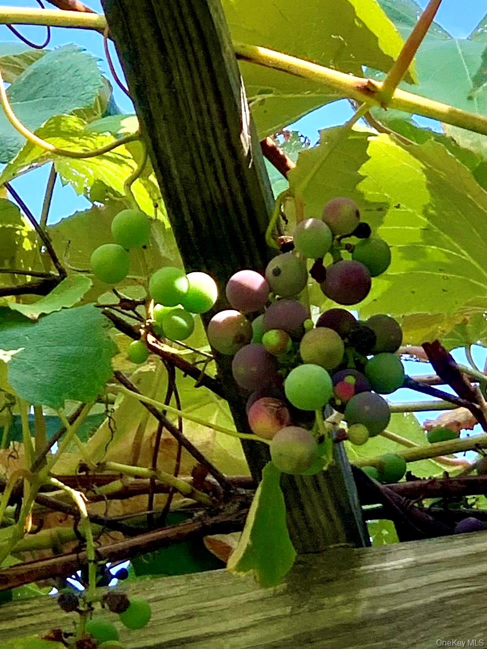 #9 photo, 477 Campbell Road, Windham , NY 12407