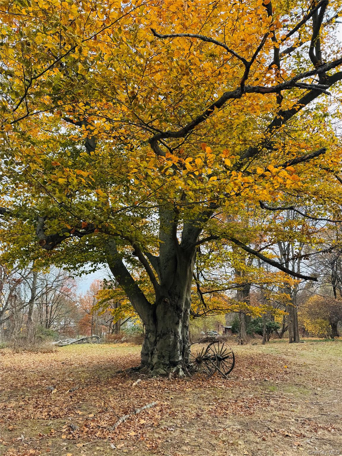 #2 photo, 72 Webb Road, Middletown , NY 10940