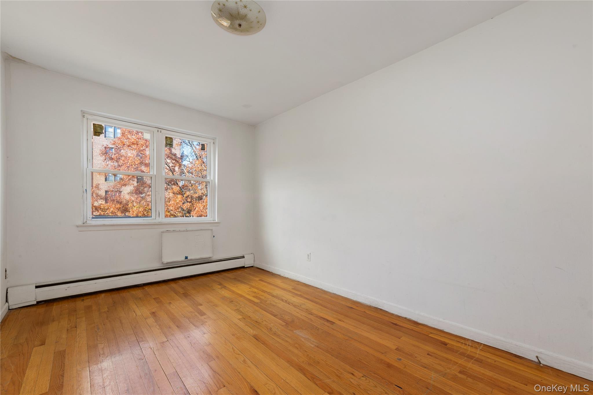 #10 photo, 71-34 Kissena Boulevard, Flushing , NY 11367