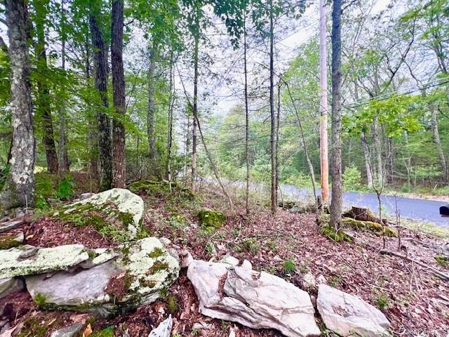 #2 photo, 52 Devlin Road, Highland Lake , NY 12743