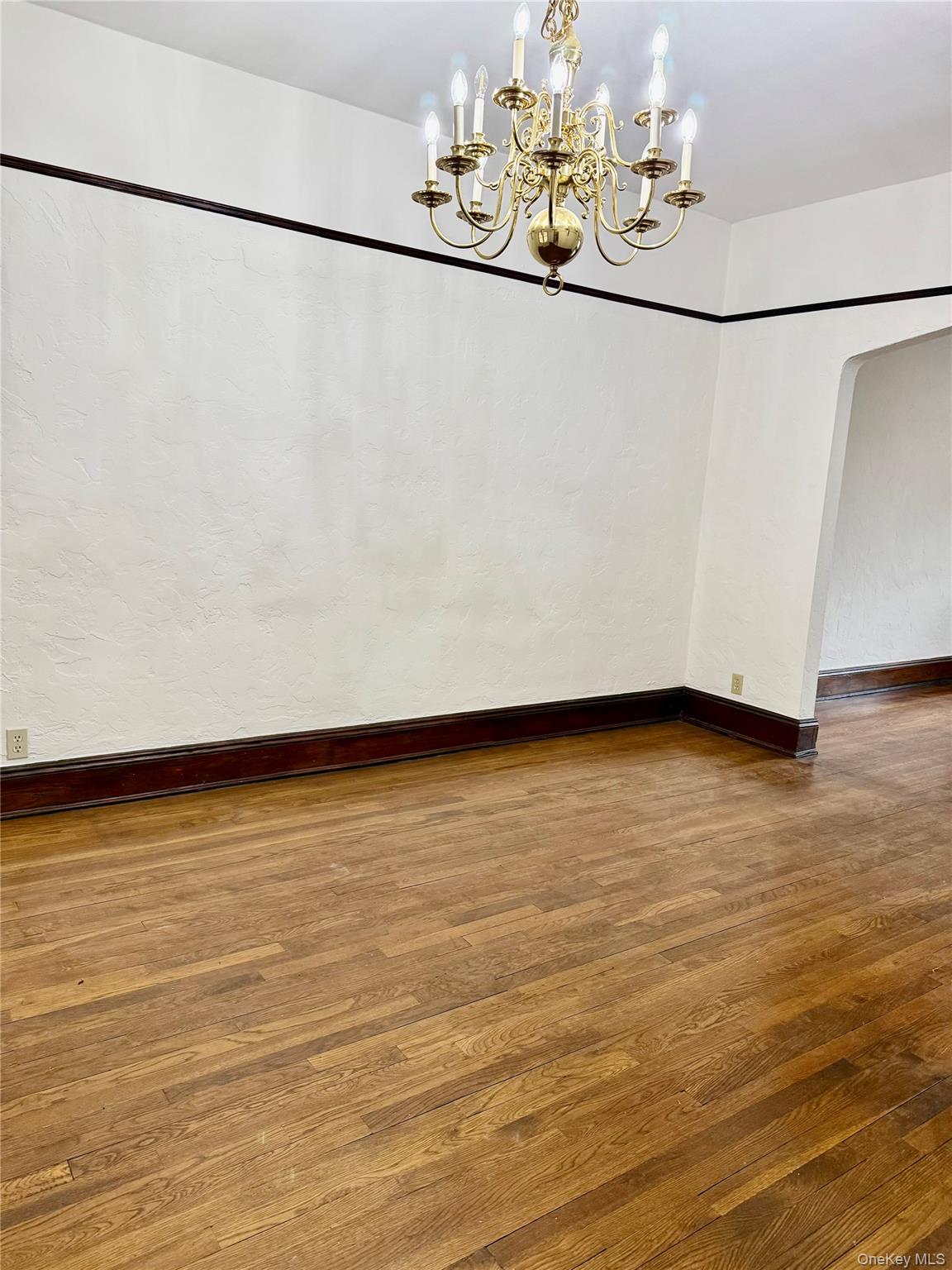 #19 photo, 404 Bauer Place, নাসাউ কাউন্টি Mineola , NY 11501