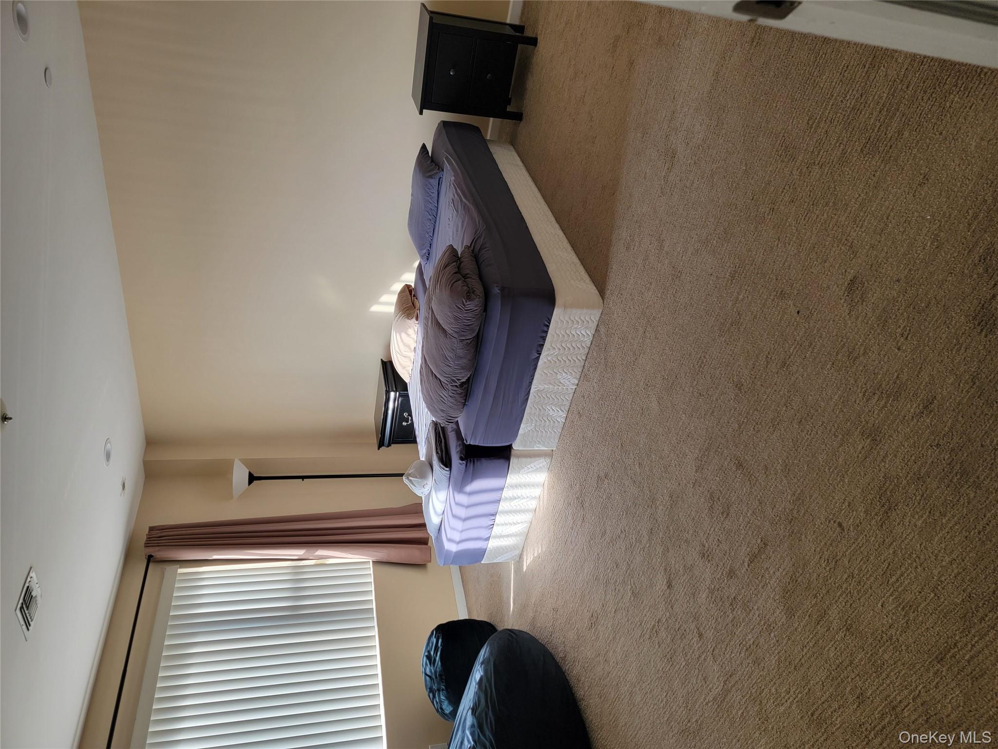 #7 photo, 329 Broadway, Bethpage , NY 11714