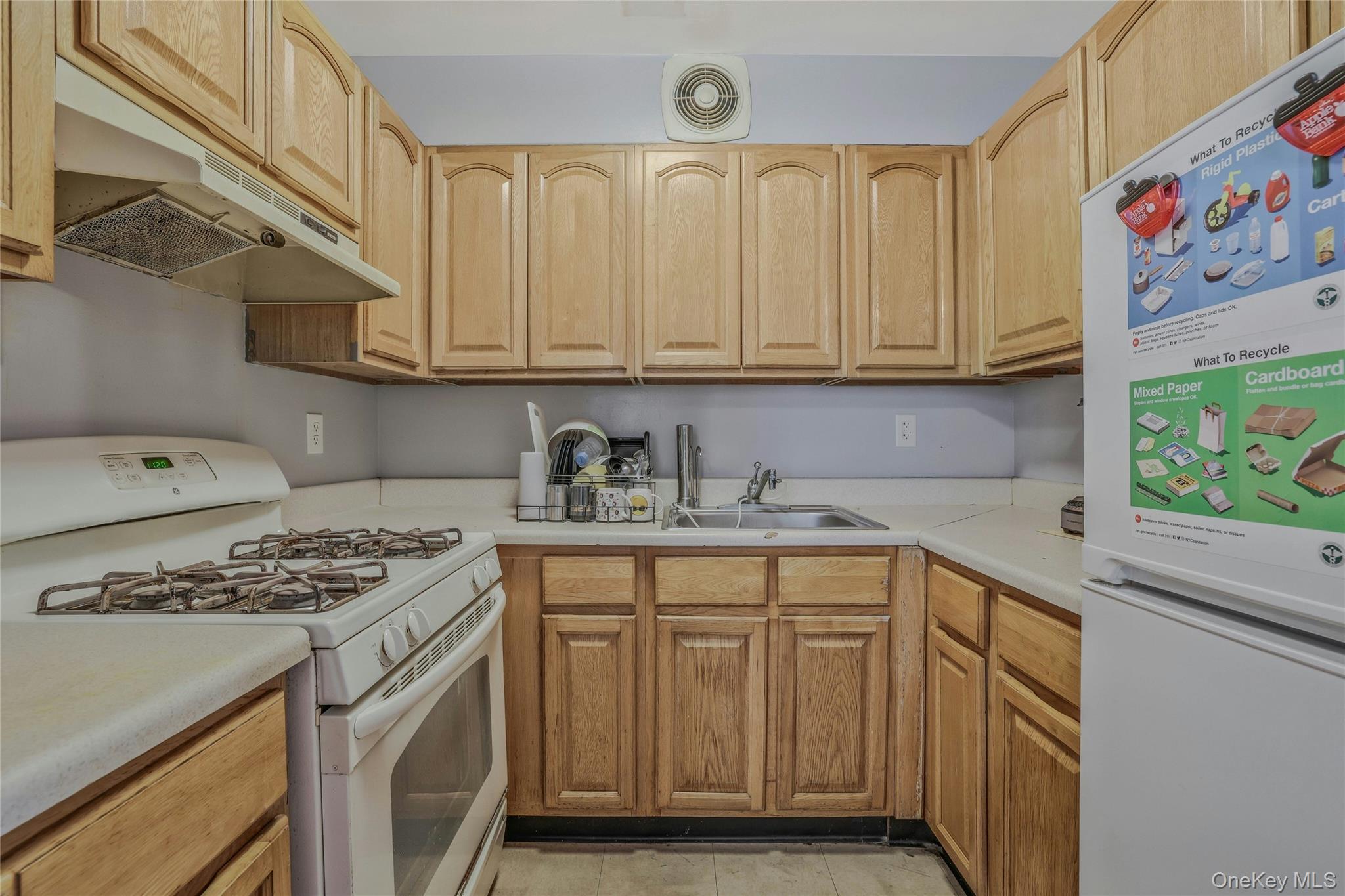 #17 photo, 747 Essex Street, Brooklyn , NY 11208