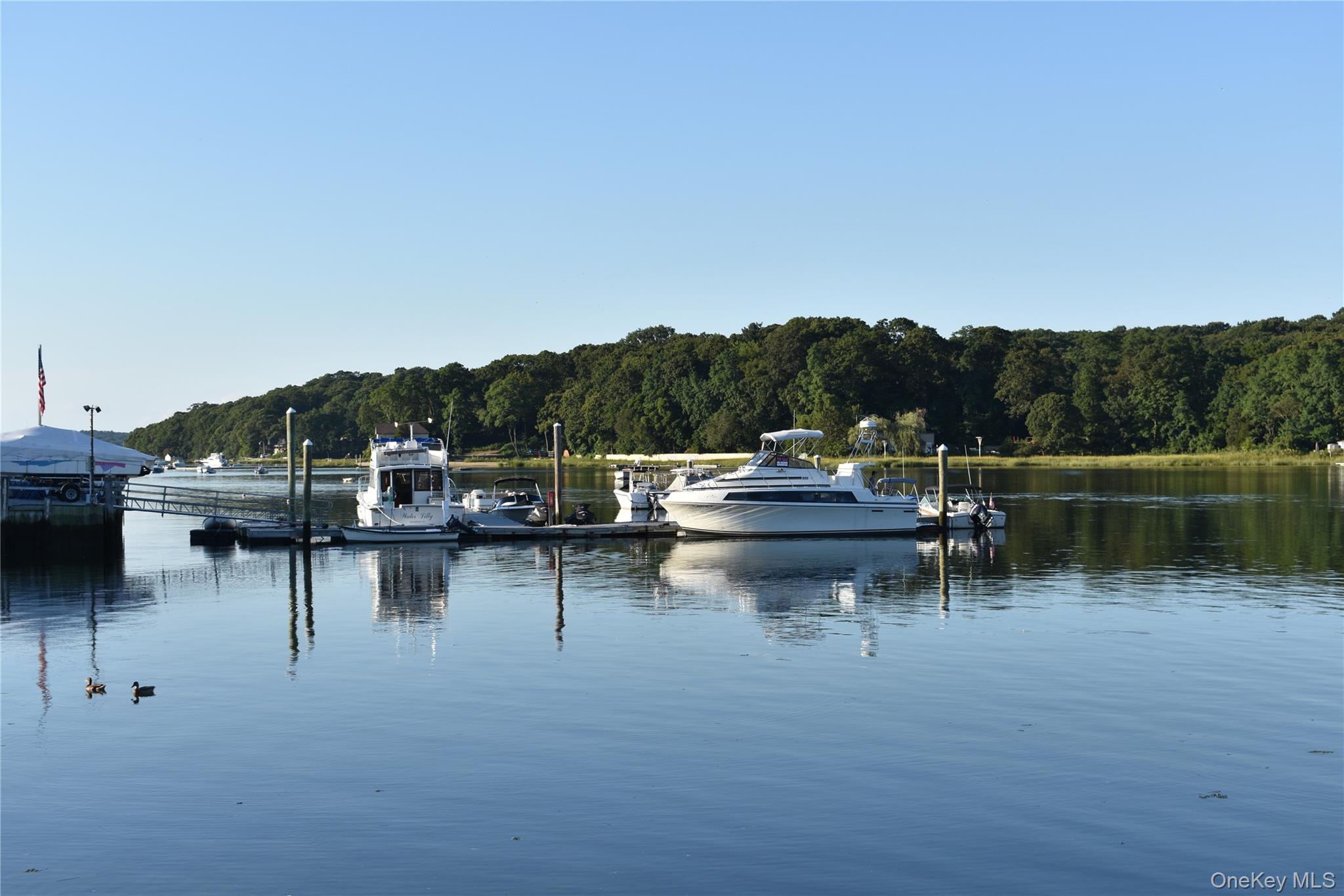 #5 photo, 100 Centershore Road, Centerport , NY 11721