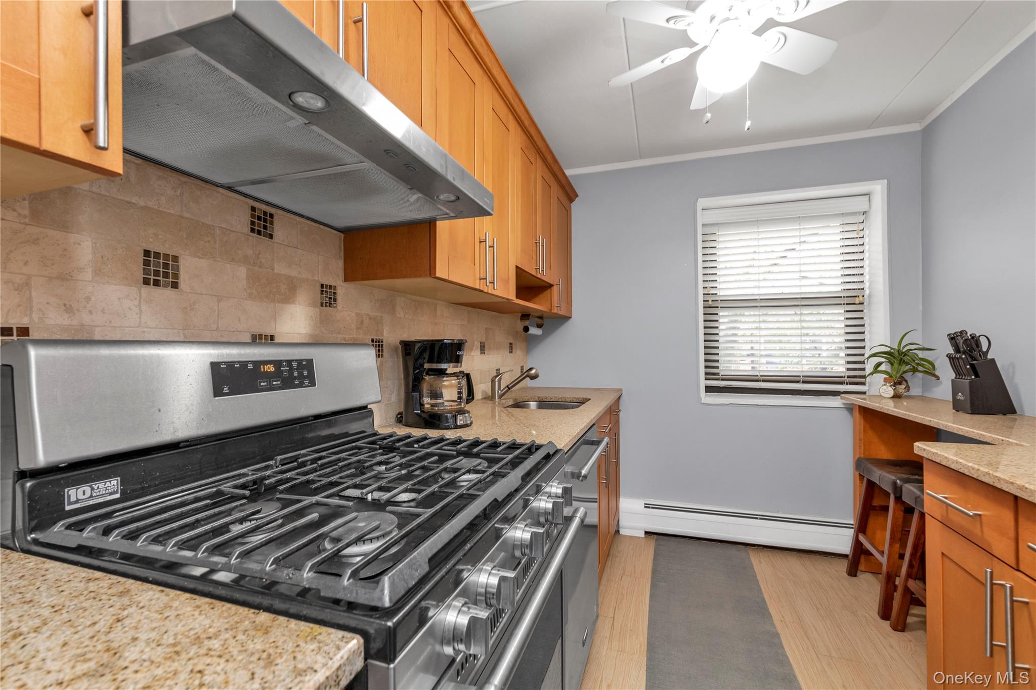 #9 photo, 100 Clinton, Mineola , NY 11501