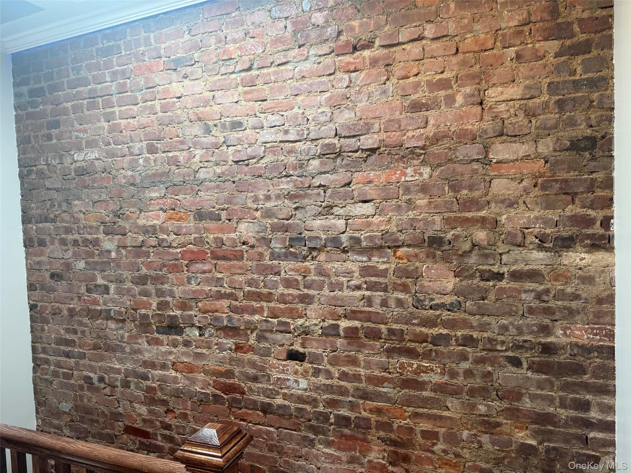 #13 photo, 189 Legion Street, Brooklyn , NY 11212