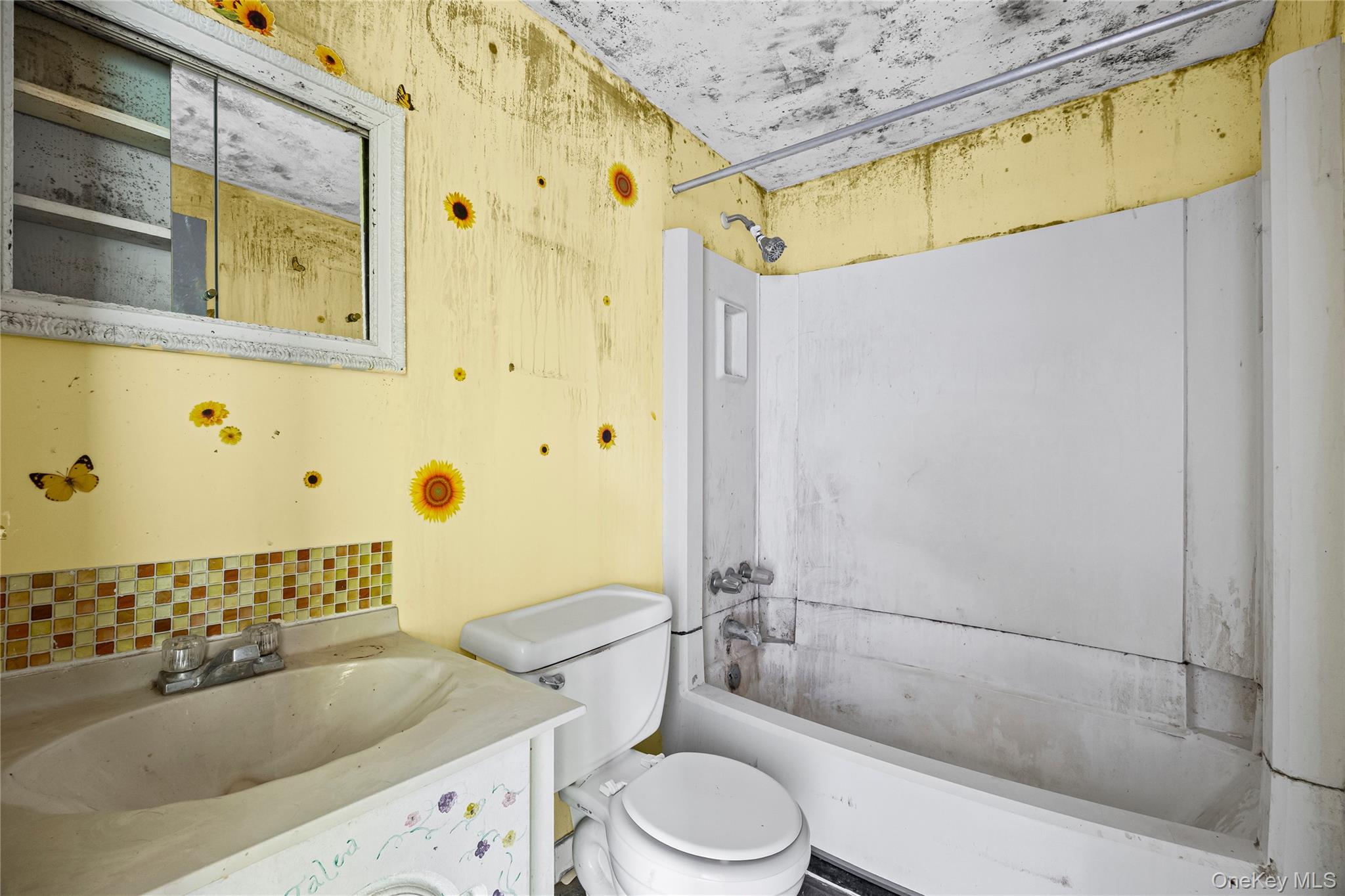 #19 photo, 25 Crater Lake Drive, Coram , NY 11727