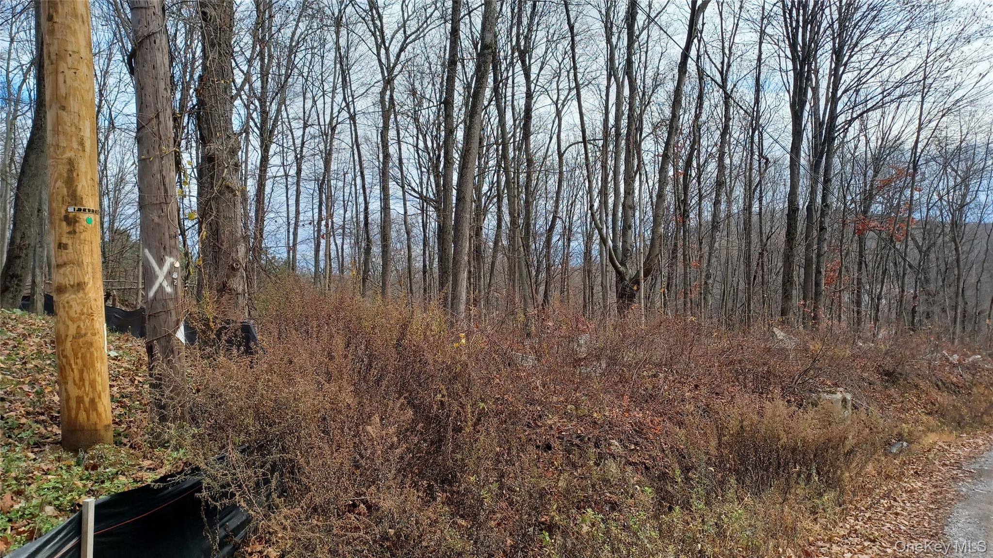 #2 photo, 4 Prout Lane, Stormville , NY 12582