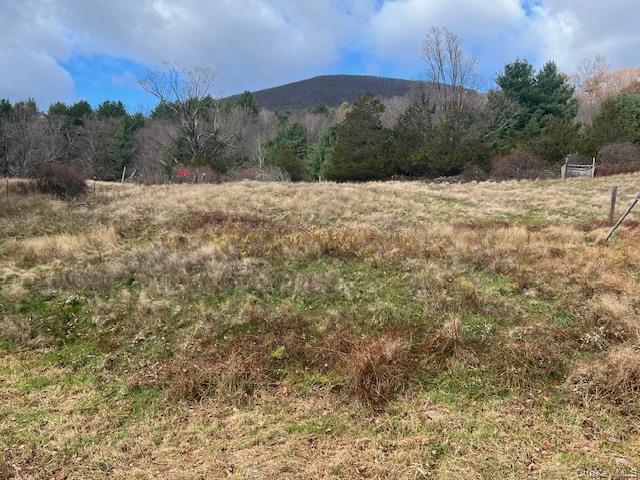 #5 photo, 244 Upper Samsonville Road, Olivebridge , NY 12461