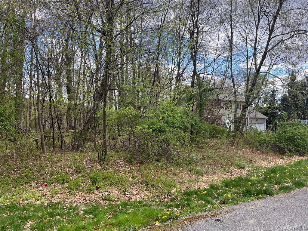 #2 photo, Sherwood Road, Cortlandt Manor , NY 10567