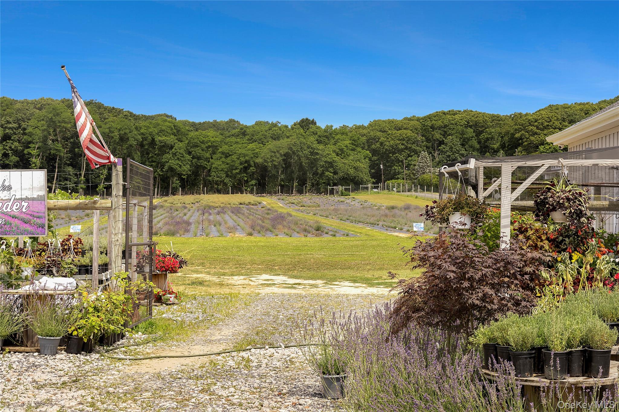 #10 photo, 3360 Sound Avenue, Riverhead , NY 11901