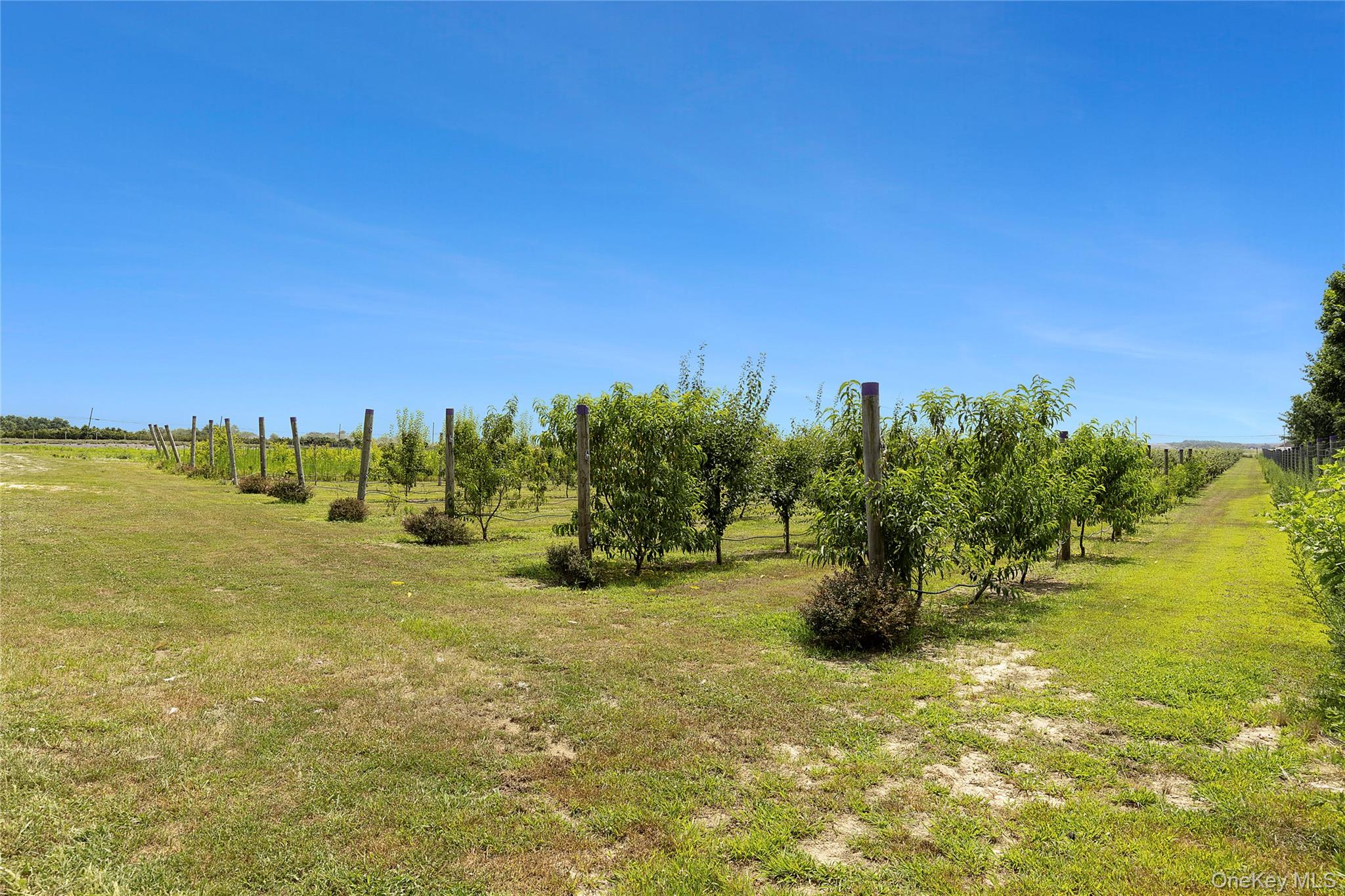 #13 photo, 3360 Sound Avenue, Riverhead , NY 11901