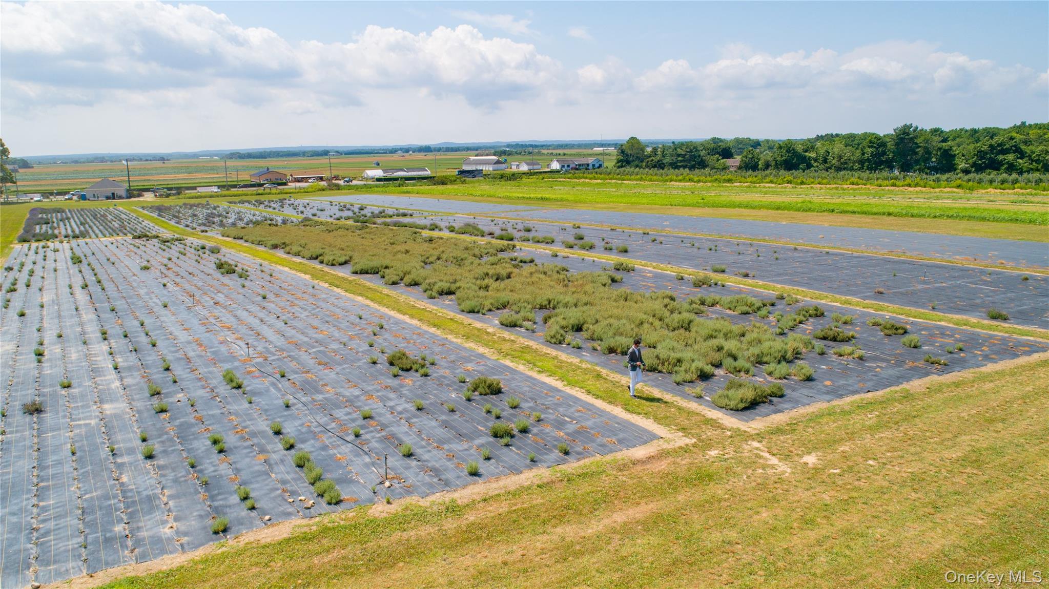 #16 photo, 3360 Sound Avenue, Riverhead , NY 11901