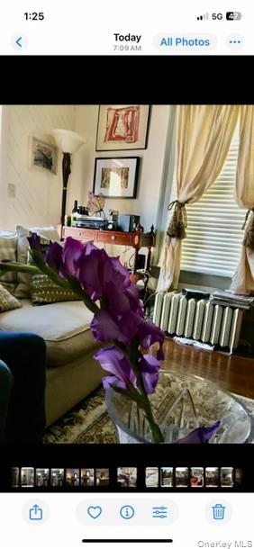 #17 photo, 3313-B Route 343, Amenia , NY 12501