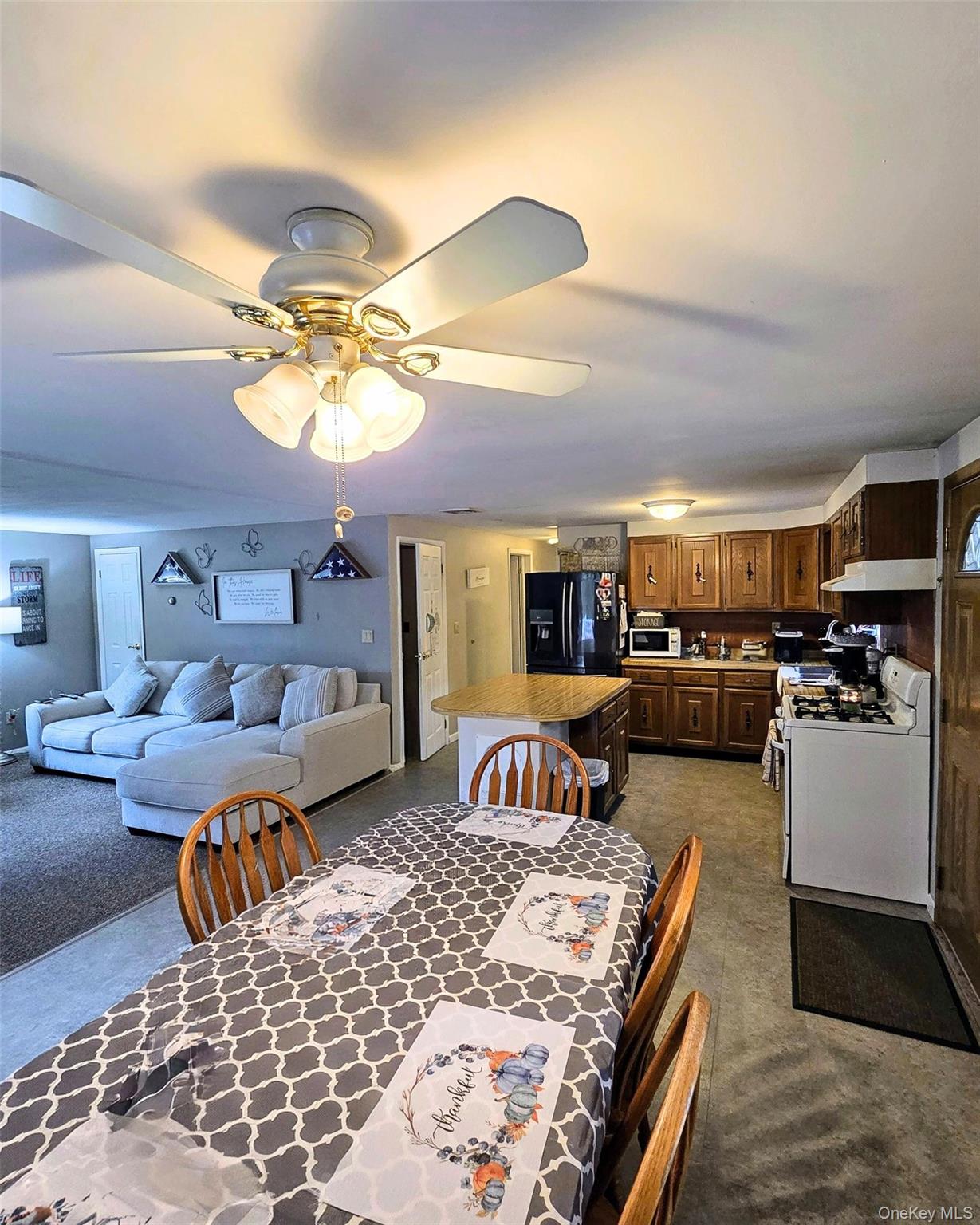 #11 photo, 146 Webster Avenue, Lake Ronkonkoma , NY 11779