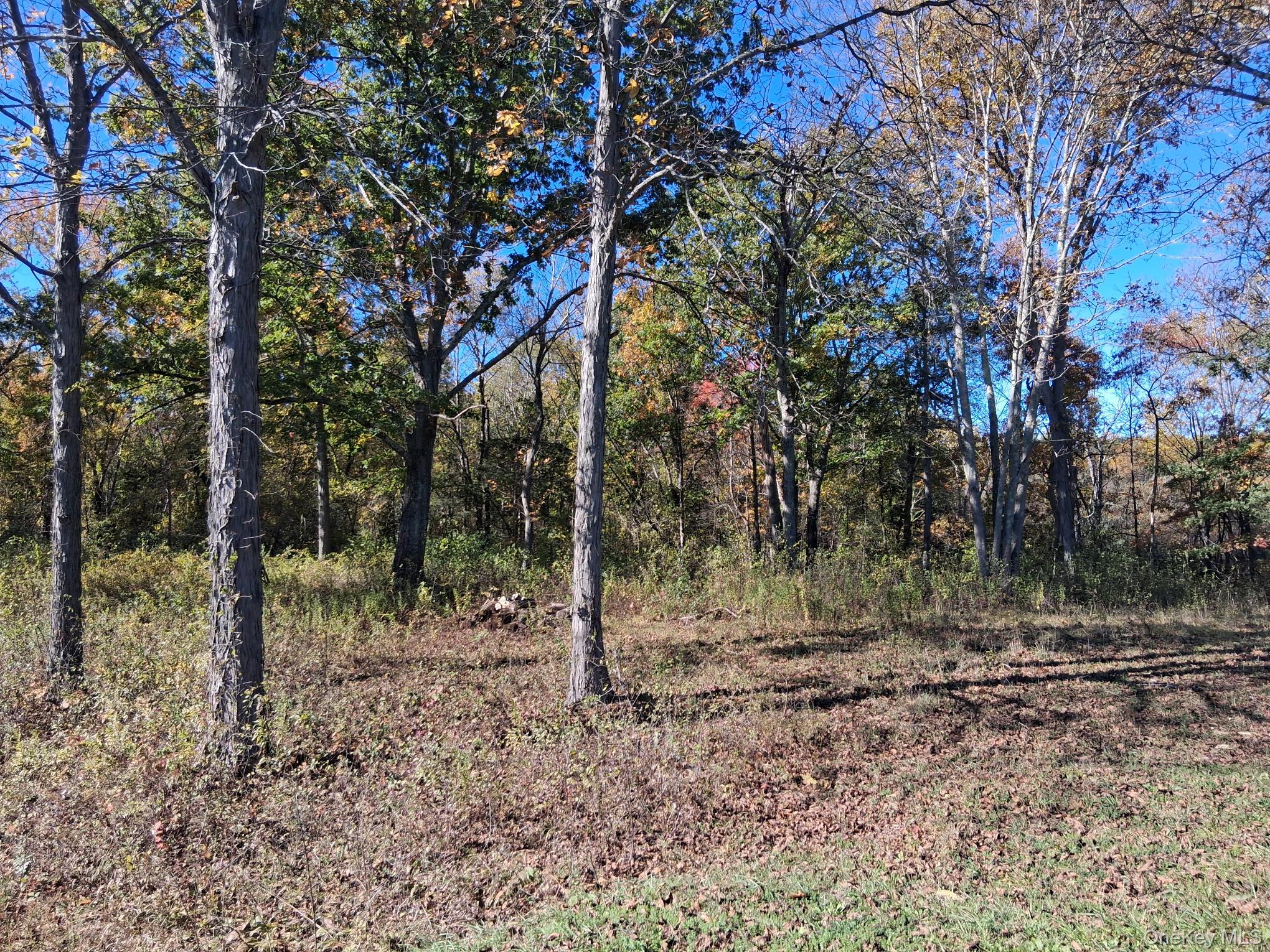 #3 photo, South Road, Germantown , NY 12526