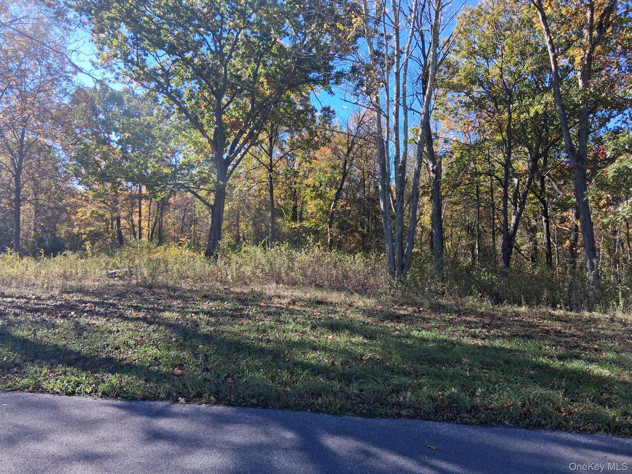 #4 photo, South Road, Germantown , NY 12526