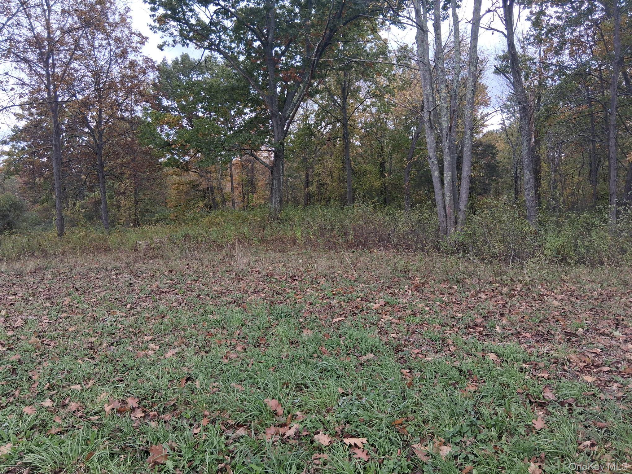 #5 photo, South Road, Germantown , NY 12526