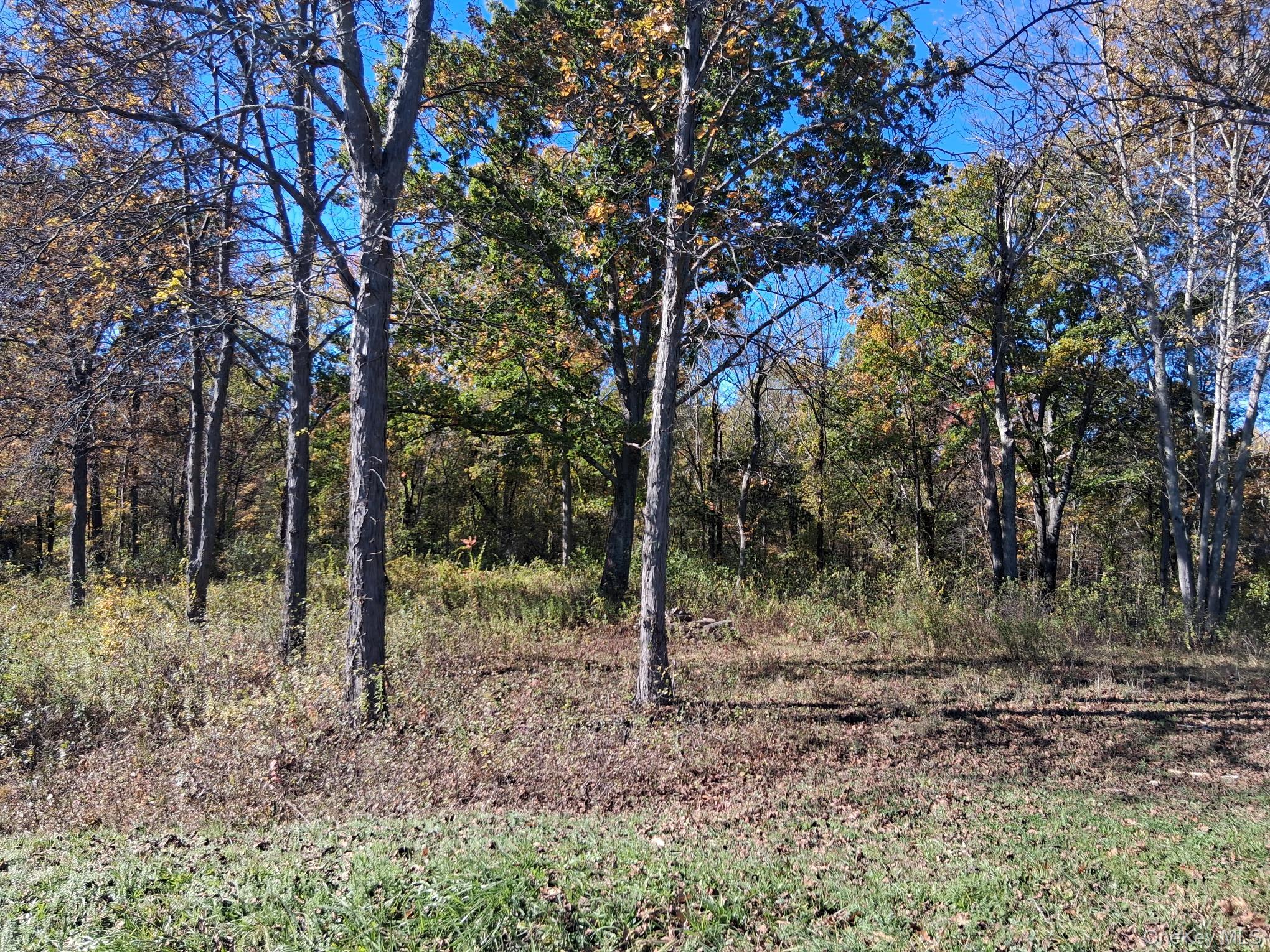 #6 photo, South Road, Germantown , NY 12526