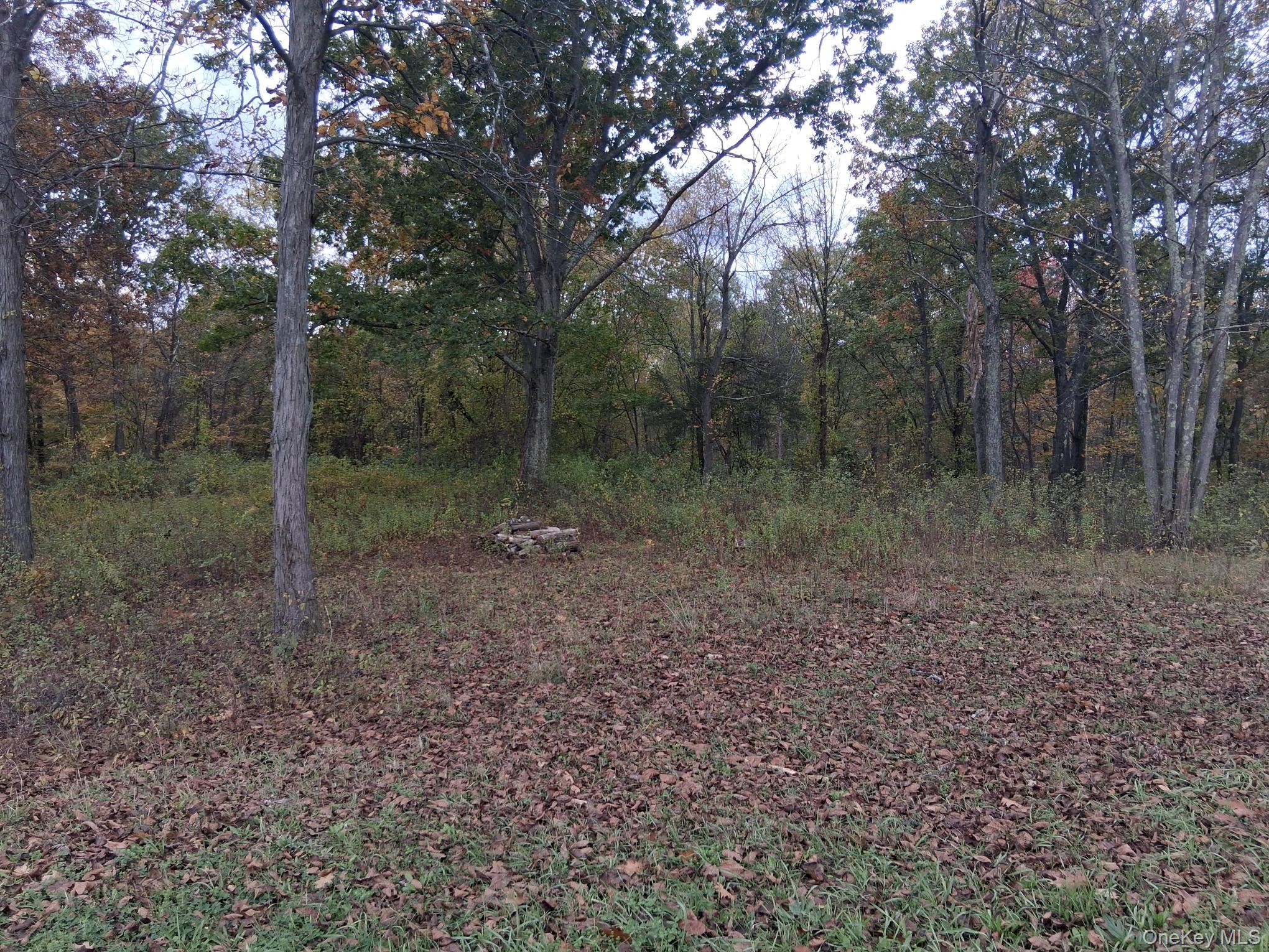 #7 photo, South Road, Germantown , NY 12526