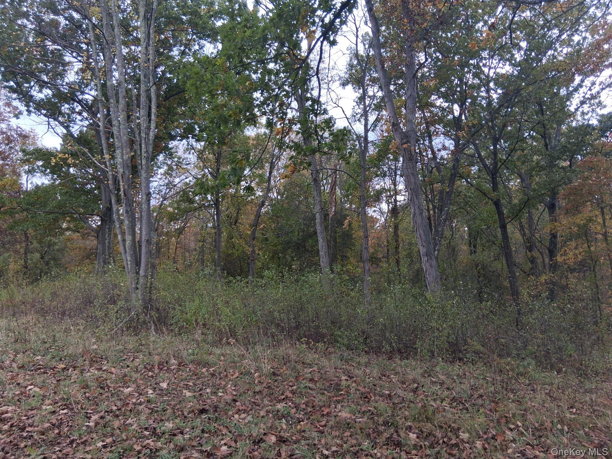 #8 photo, South Road, Germantown , NY 12526