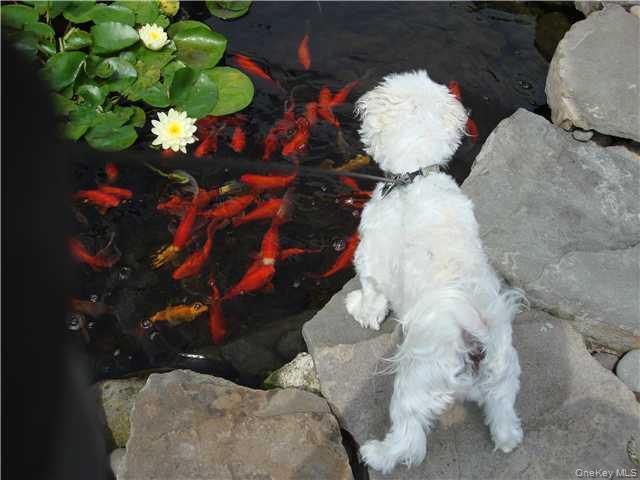 #10 photo, 115 Meyer Oval, Pearl River , NY 10965