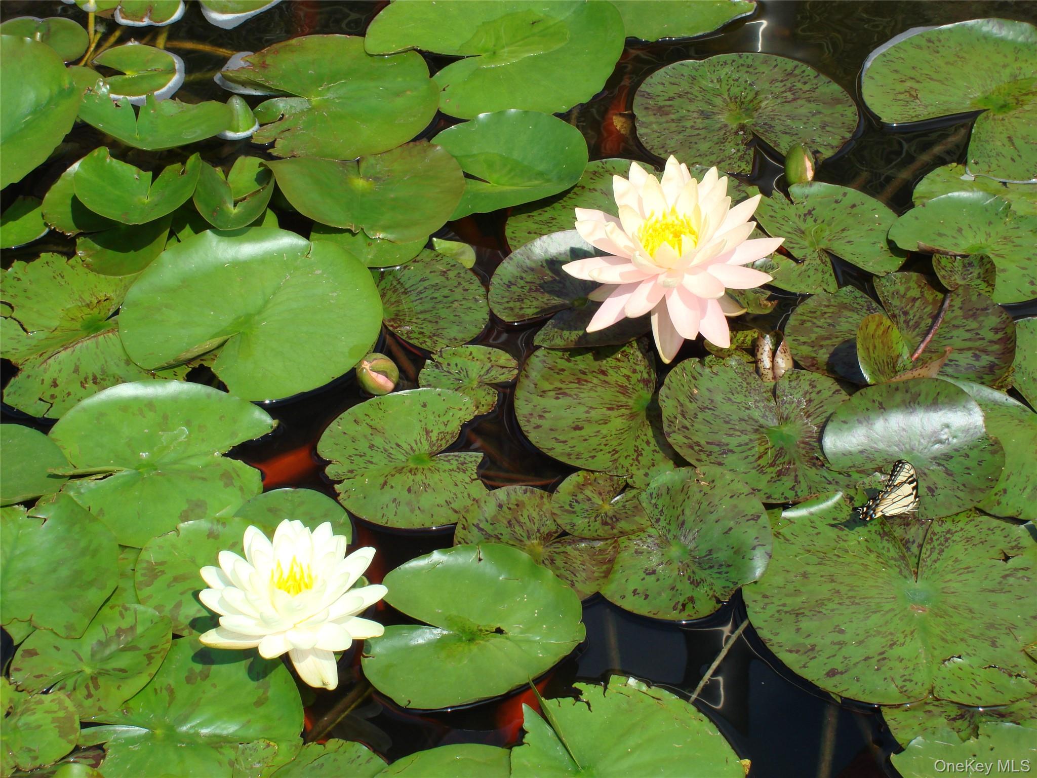 #12 photo, 115 Meyer Oval, Pearl River , NY 10965