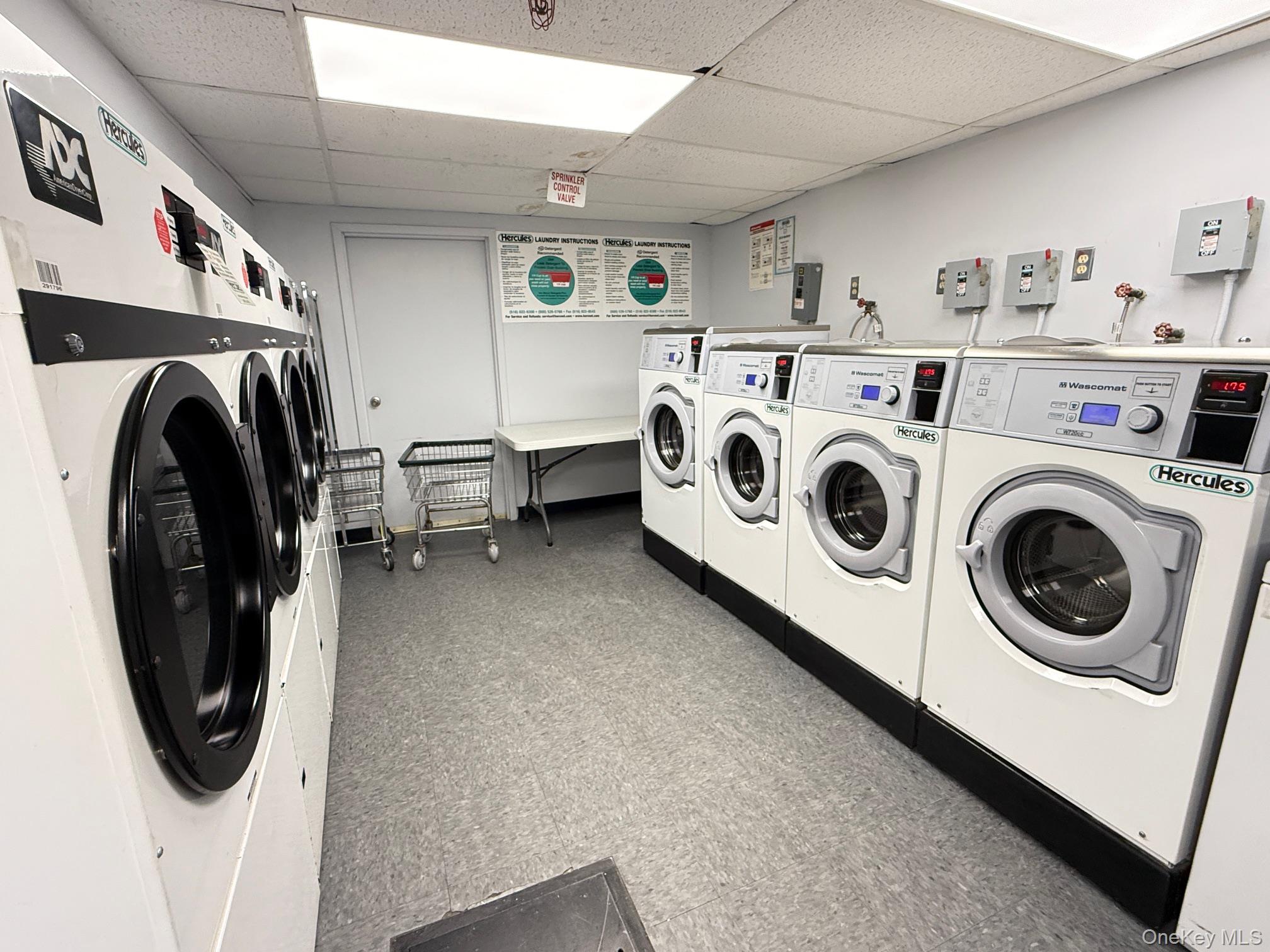 #9 photo, 100-25 Queens Boulevard, Forest Hills , NY 11375