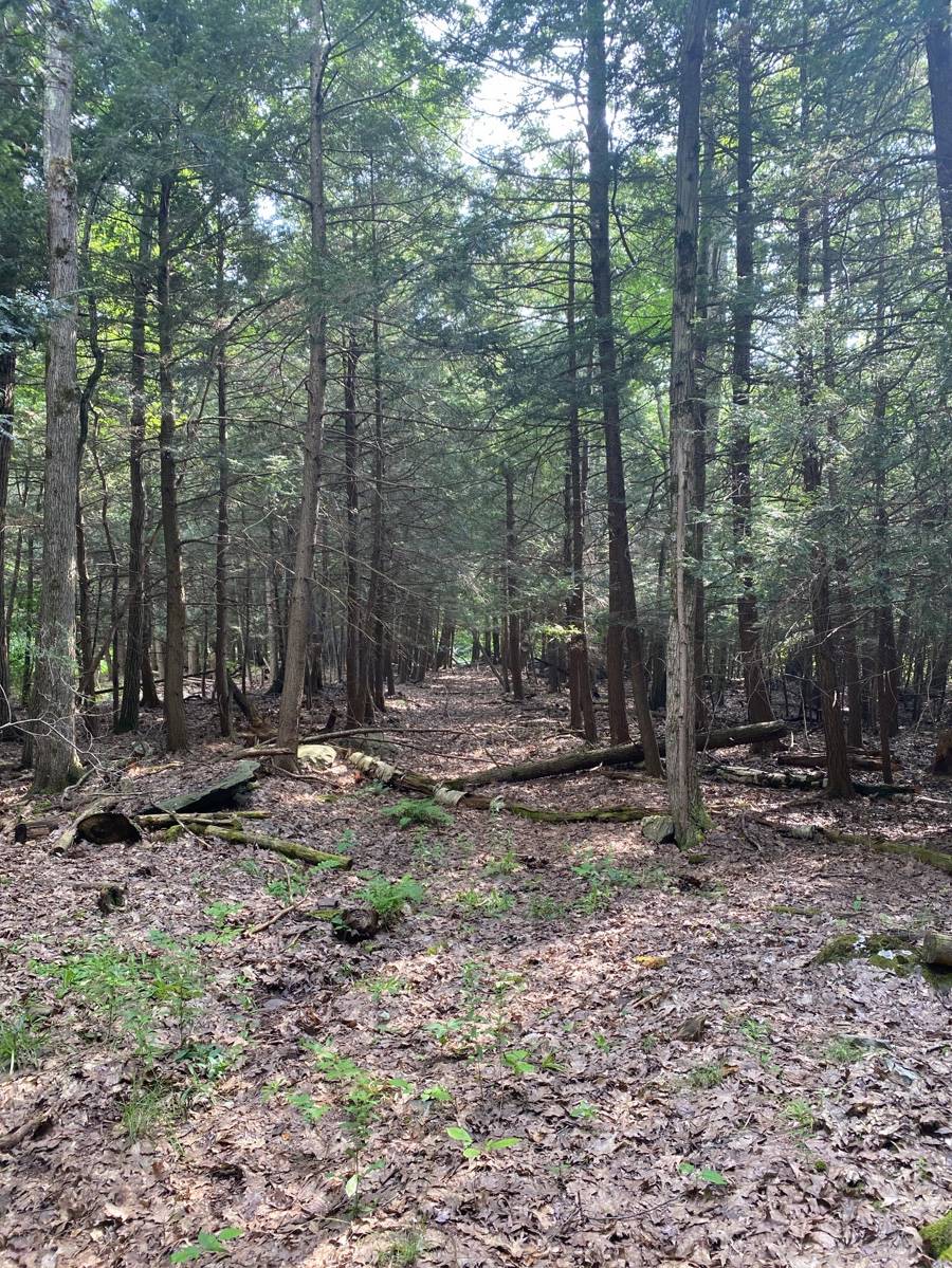 #10 photo, 40 Bailey Rd., Jewett , NY 12444