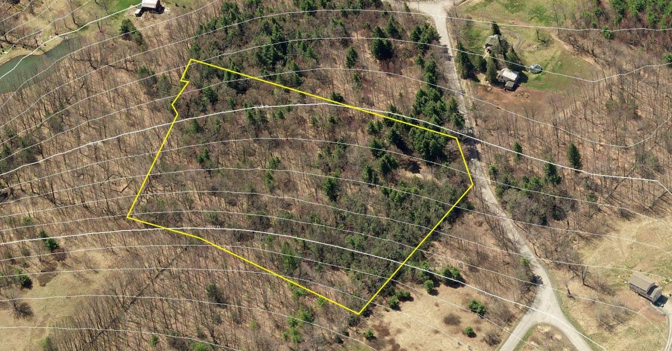 #2 photo, 40 Bailey Rd., Jewett , NY 12444