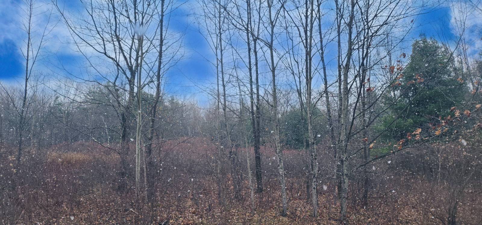 #5 photo, 40 Bailey Rd., Jewett , NY 12444