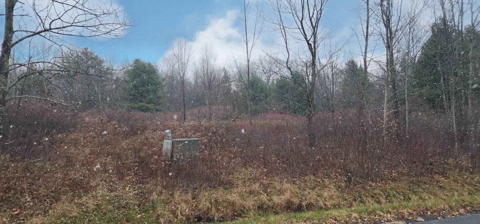 #6 photo, 40 Bailey Rd., Jewett , NY 12444