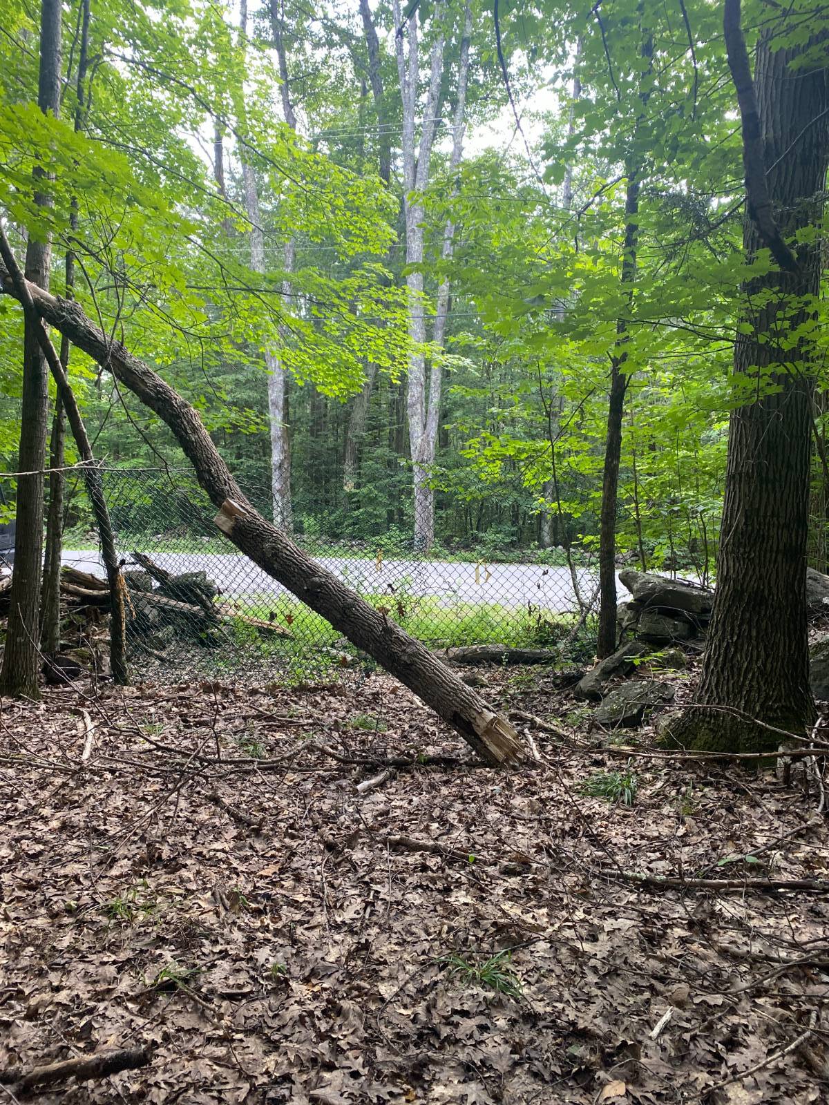 #8 photo, 40 Bailey Rd., Jewett , NY 12444