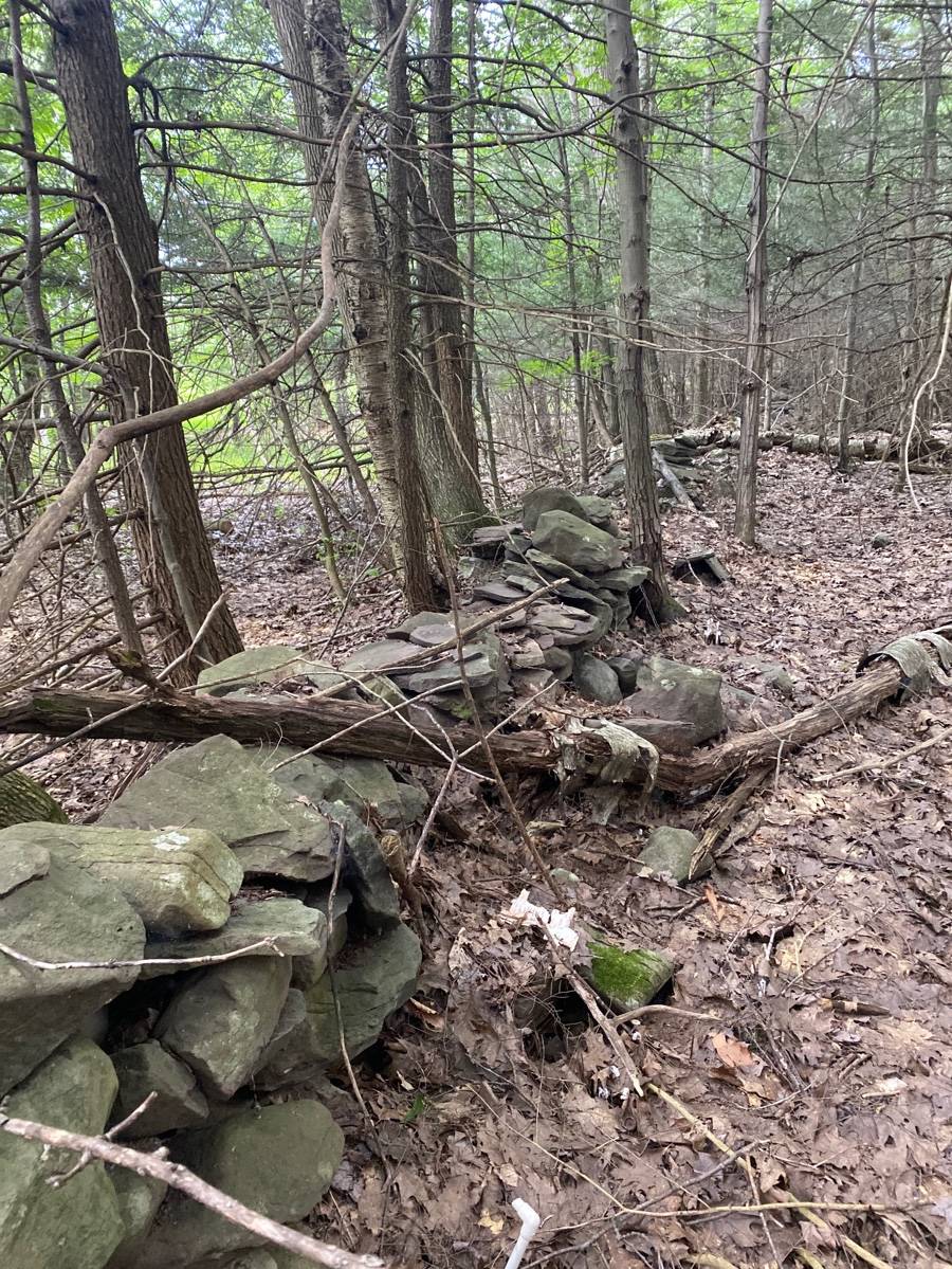 #9 photo, 40 Bailey Rd., Jewett , NY 12444